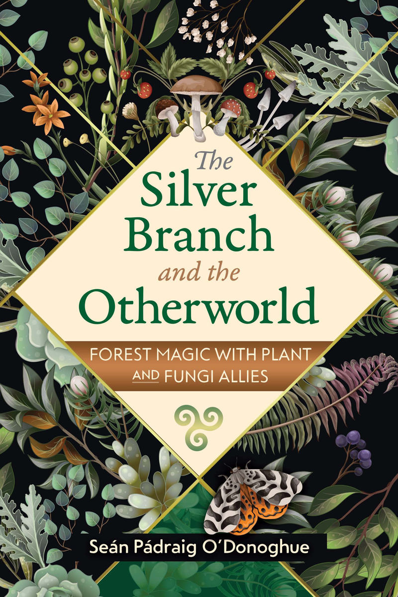 The Silver Branch And The Otherworld Forest Magic With Plant And Fungi Allies Sen Pdraig Odonoghue
