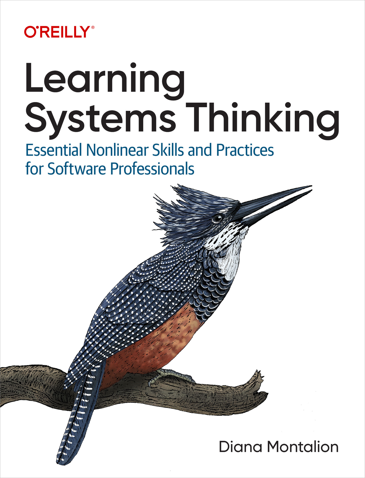 Learning Systems Thinking Essential Nonlinear Skills And Practices For Software Professionals Diana Montalion