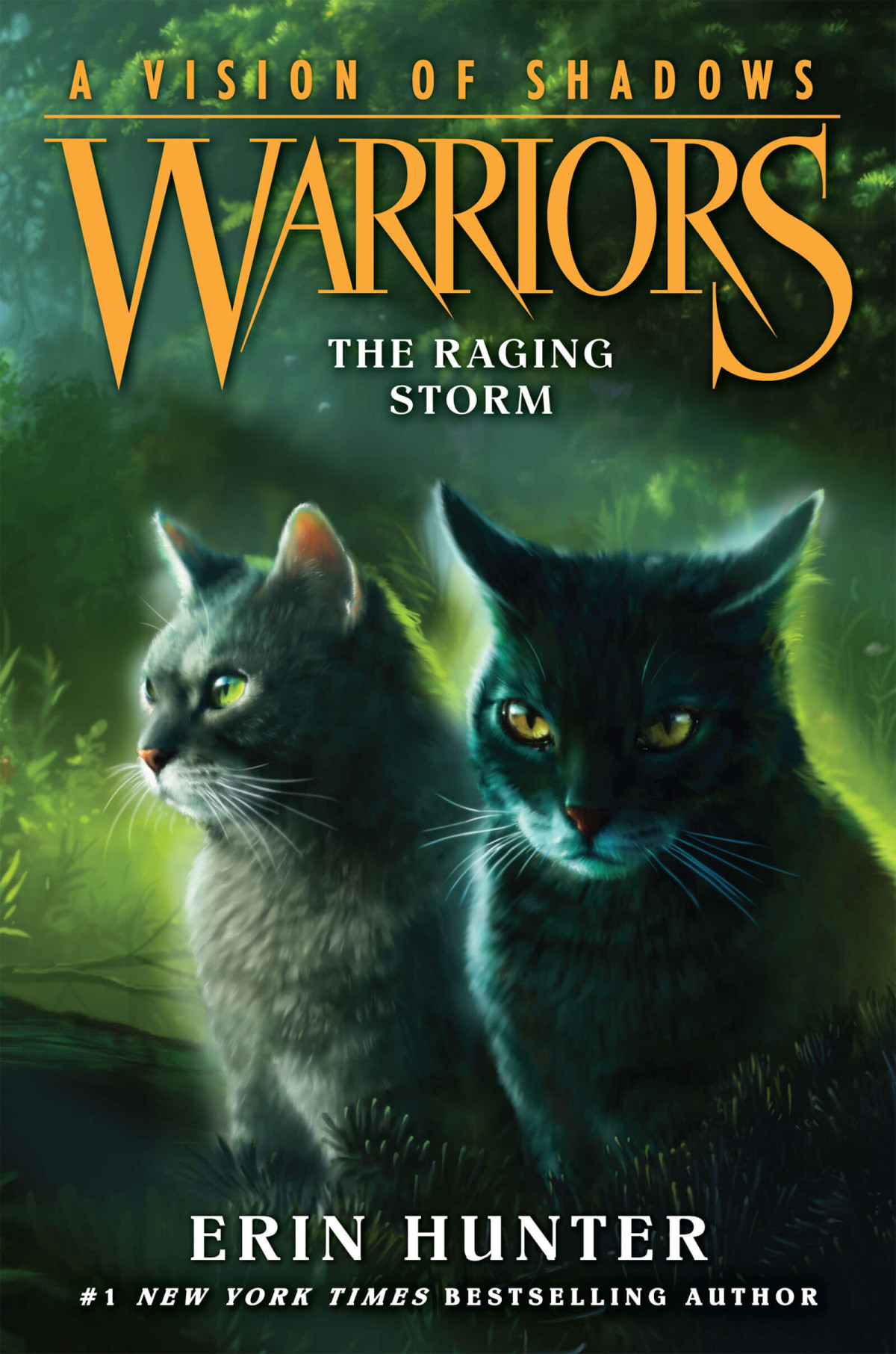 Warriors A Vision Of Shadows 6 The Raging Storm Erin Hunter