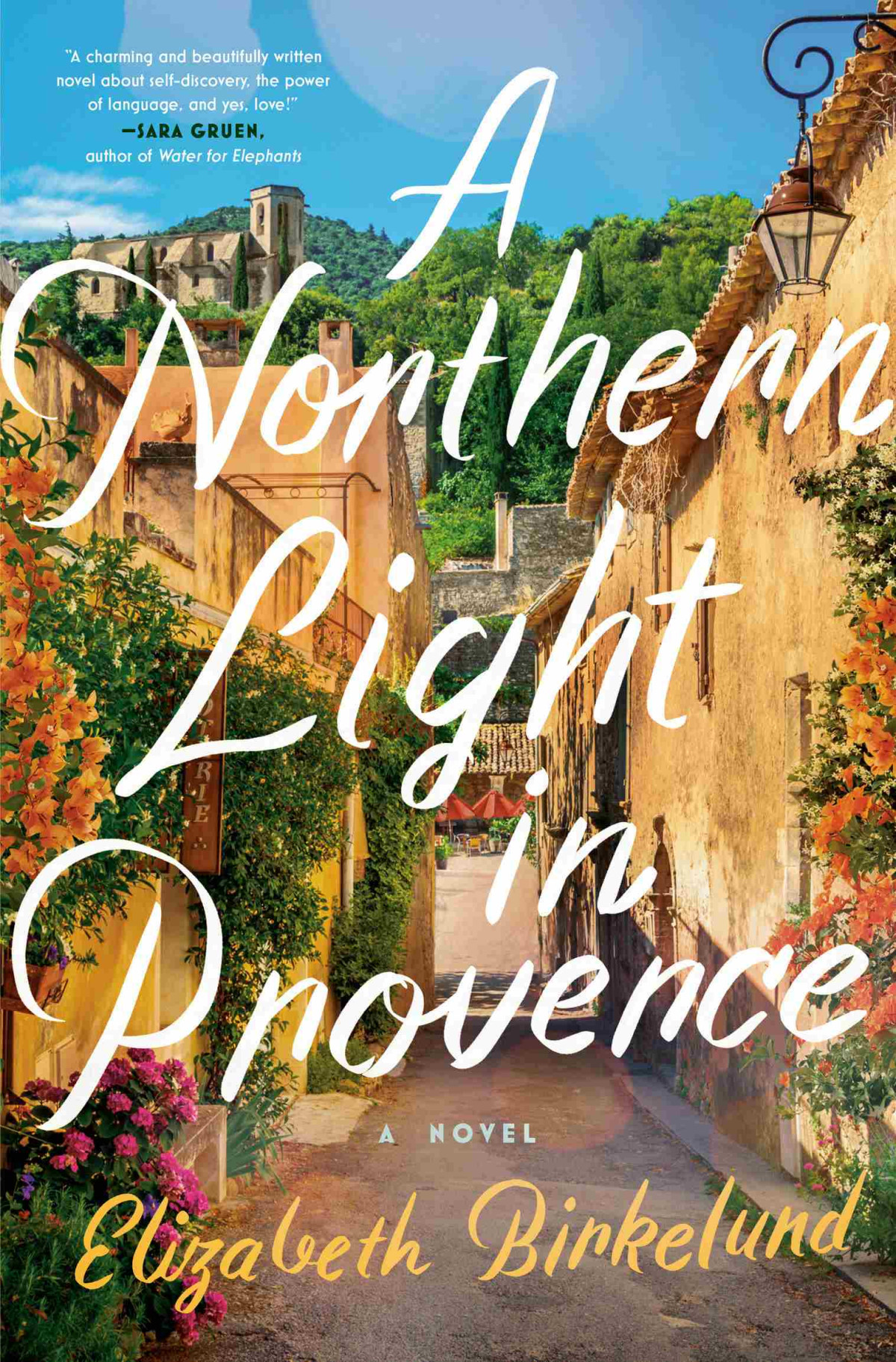 A Northern Light In Provence 1st Edition Elizabeth Birkelund