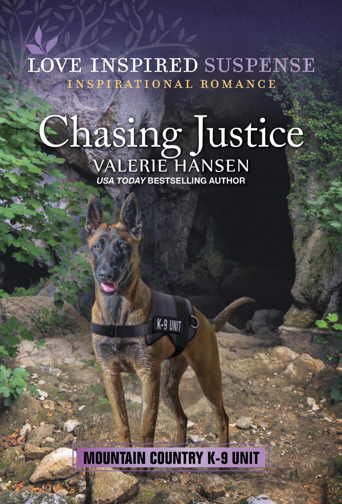 Chasing Justice Valerie Hansen