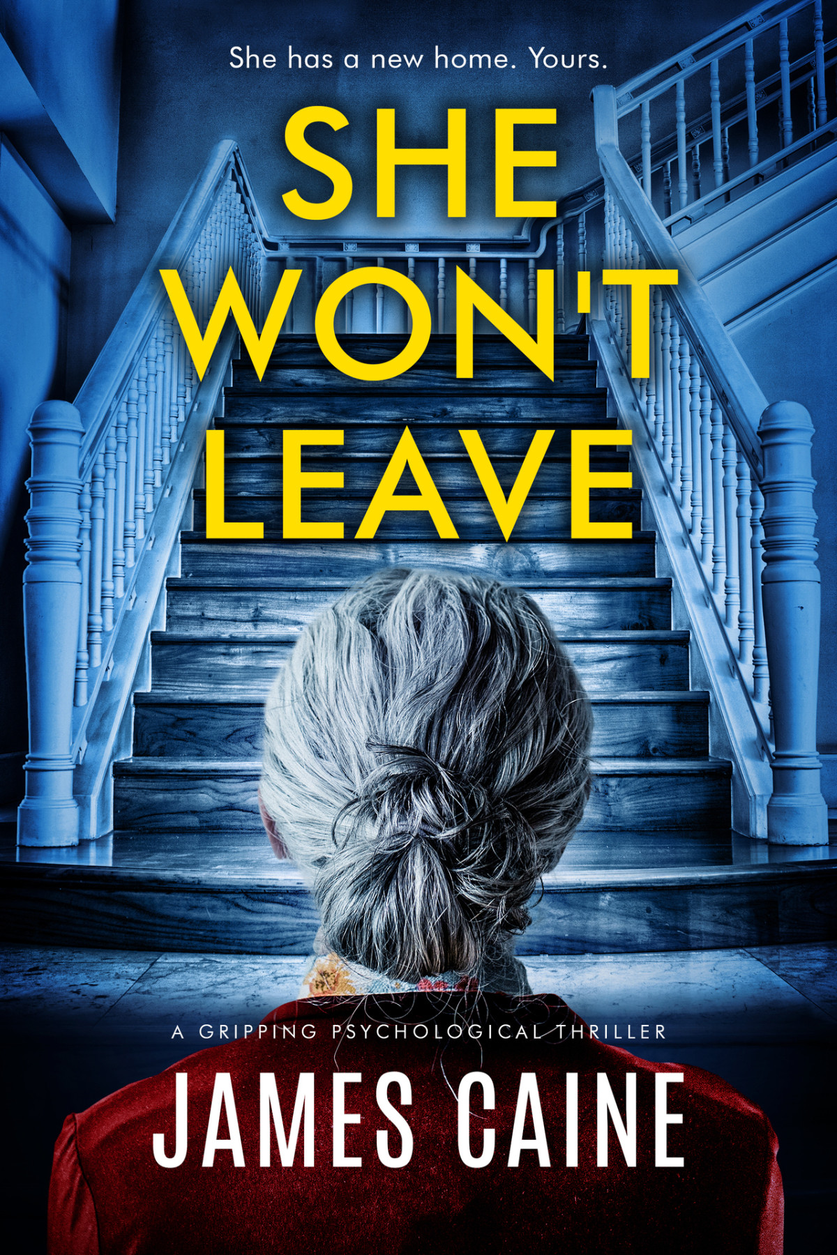 She Wont Leave A Gripping Psychological Thriller James Caine