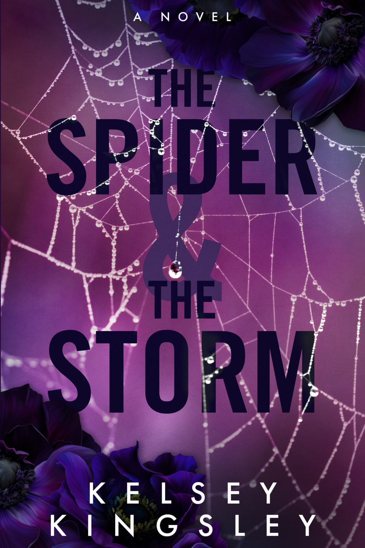 The Spider The Storm Kelsey Kingsley