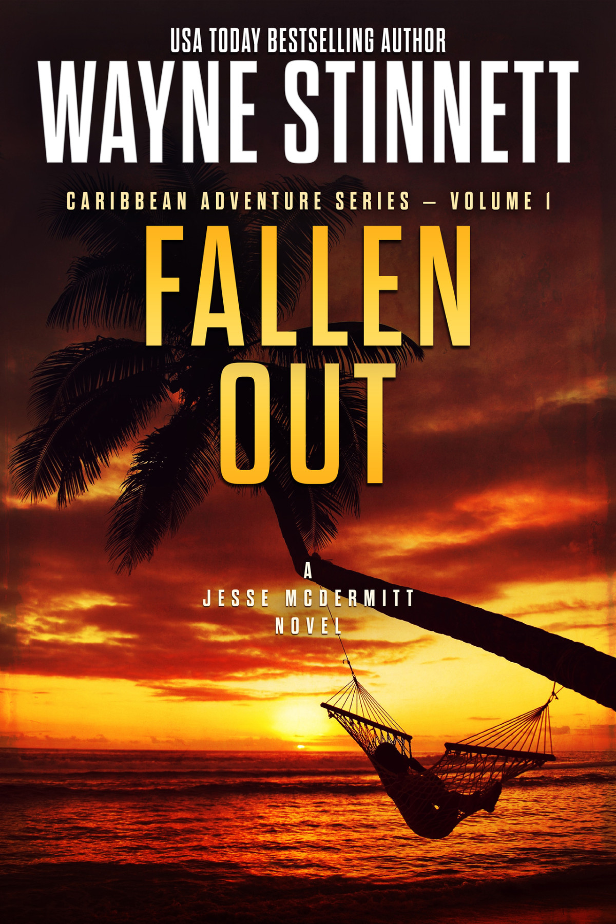 Fallen Out Jesse Mcdermitt 1 2nd Edition Wayne Stinnett