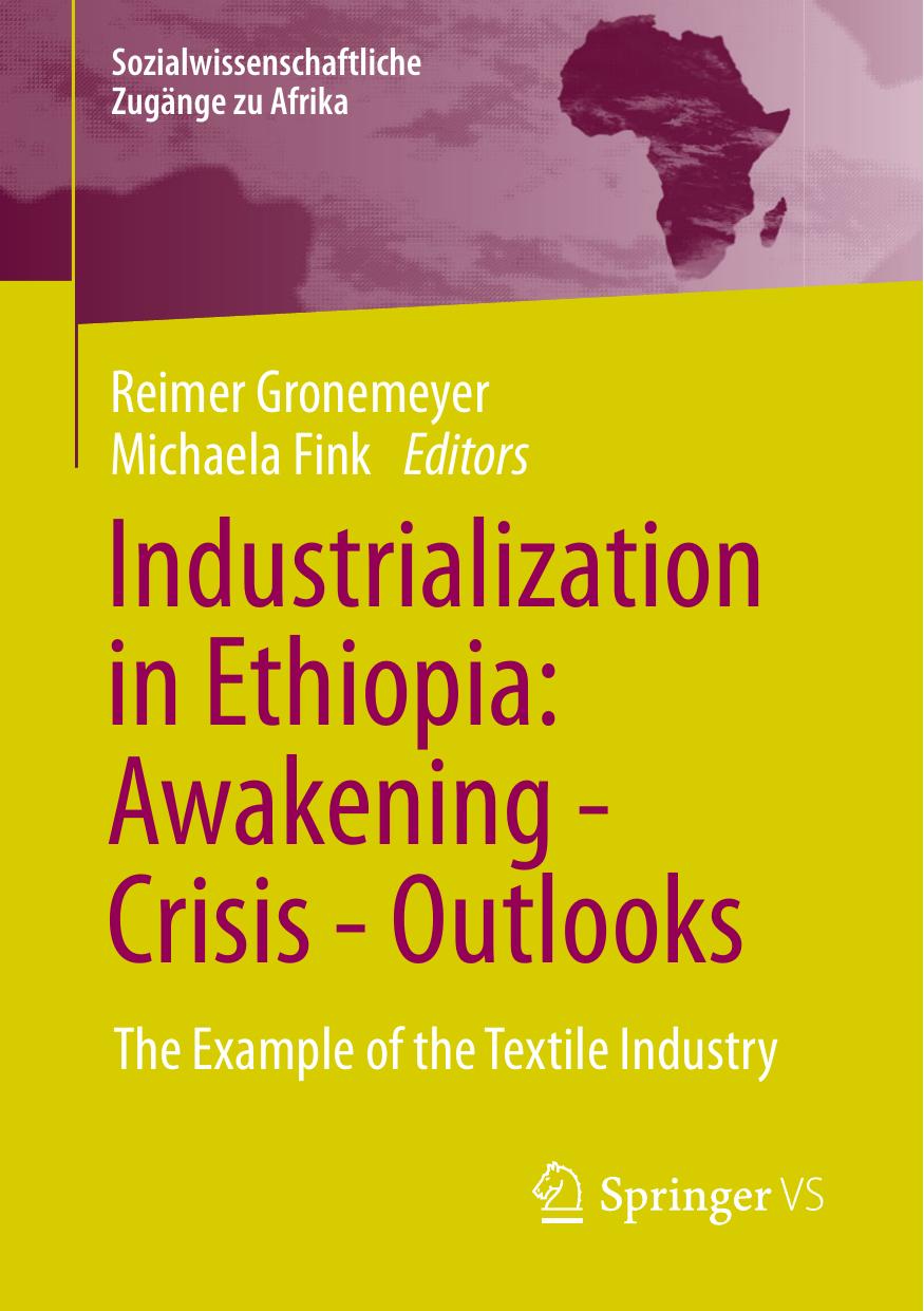 Industrialization In Ethiopia Awakening Crisis Outlooks The Example Of The Textile Industry 1st Edition Reimer Gronemeyer
