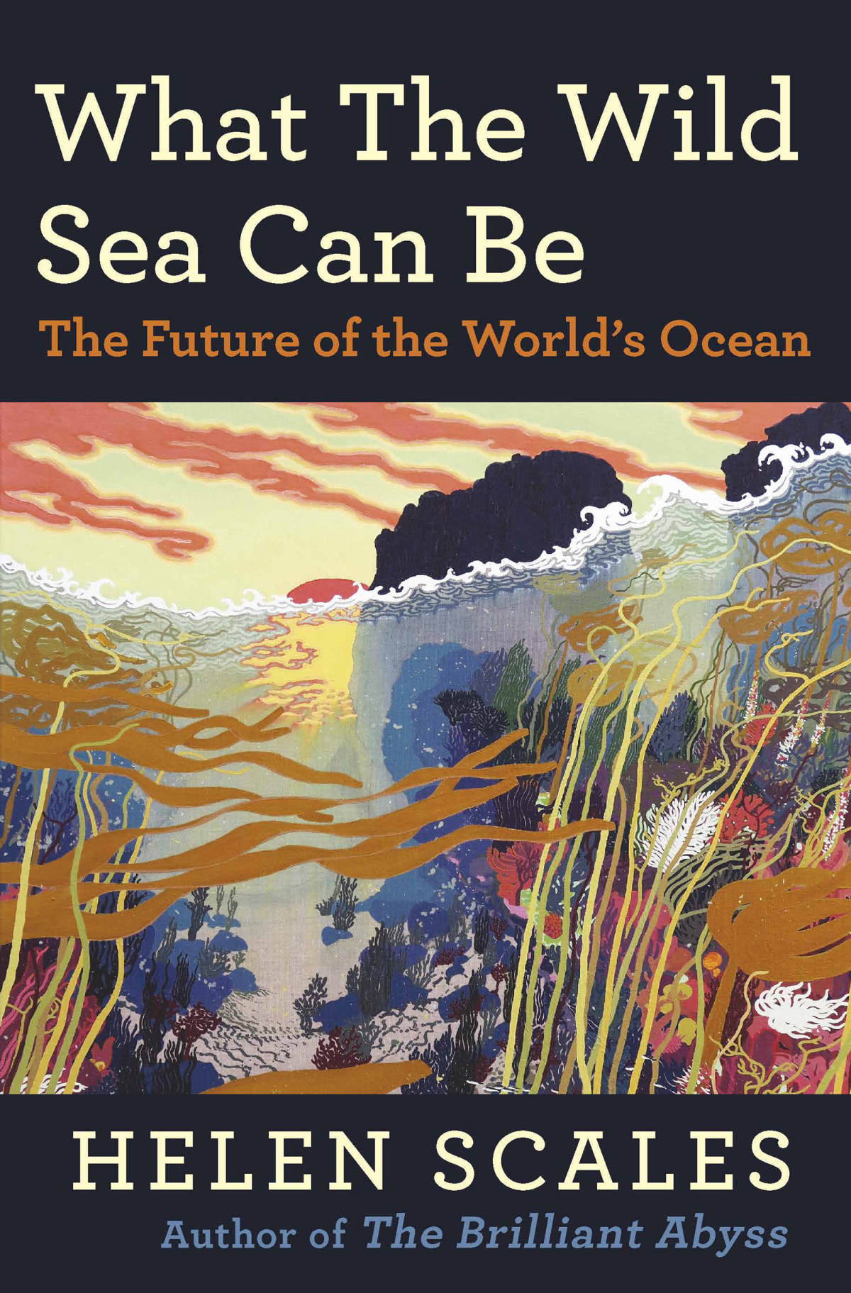 What The Wild Sea Can Be The Future Of The Worlds Ocean Helen Scales