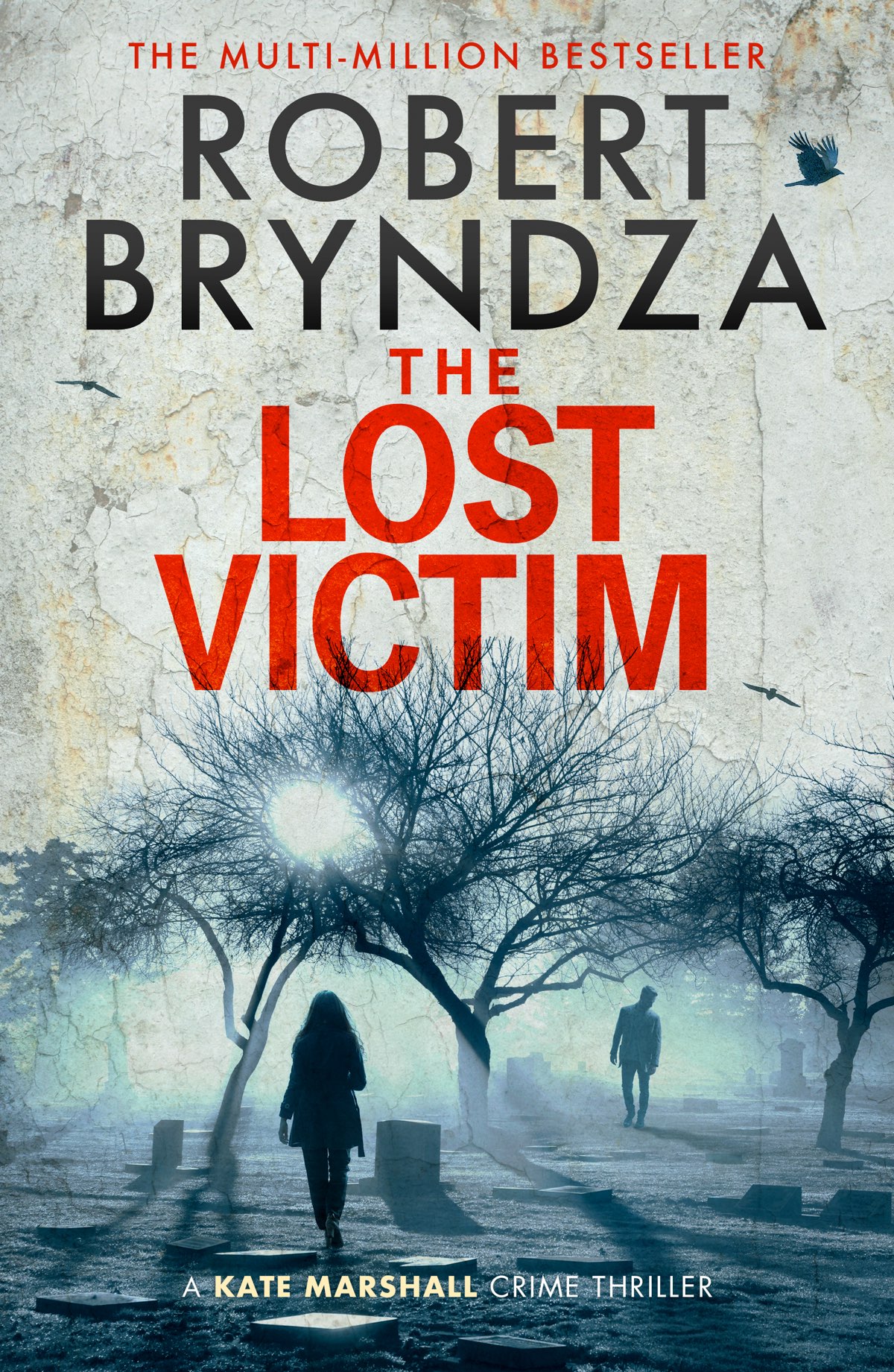 The Lost Victim Robert Bryndza