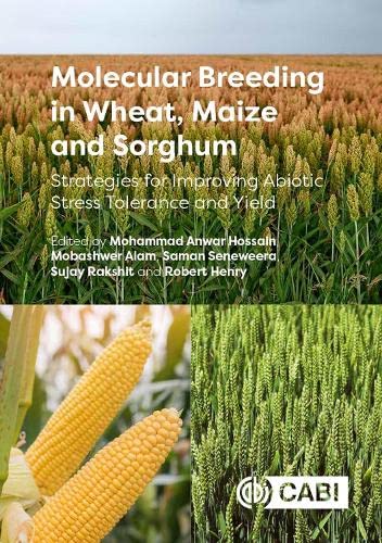 Molecular Breeding In Wheat Maize And Sorghum Strategies For Improving Abiotic Stress Tolerance And Yield Mohammad Anwar Hossain