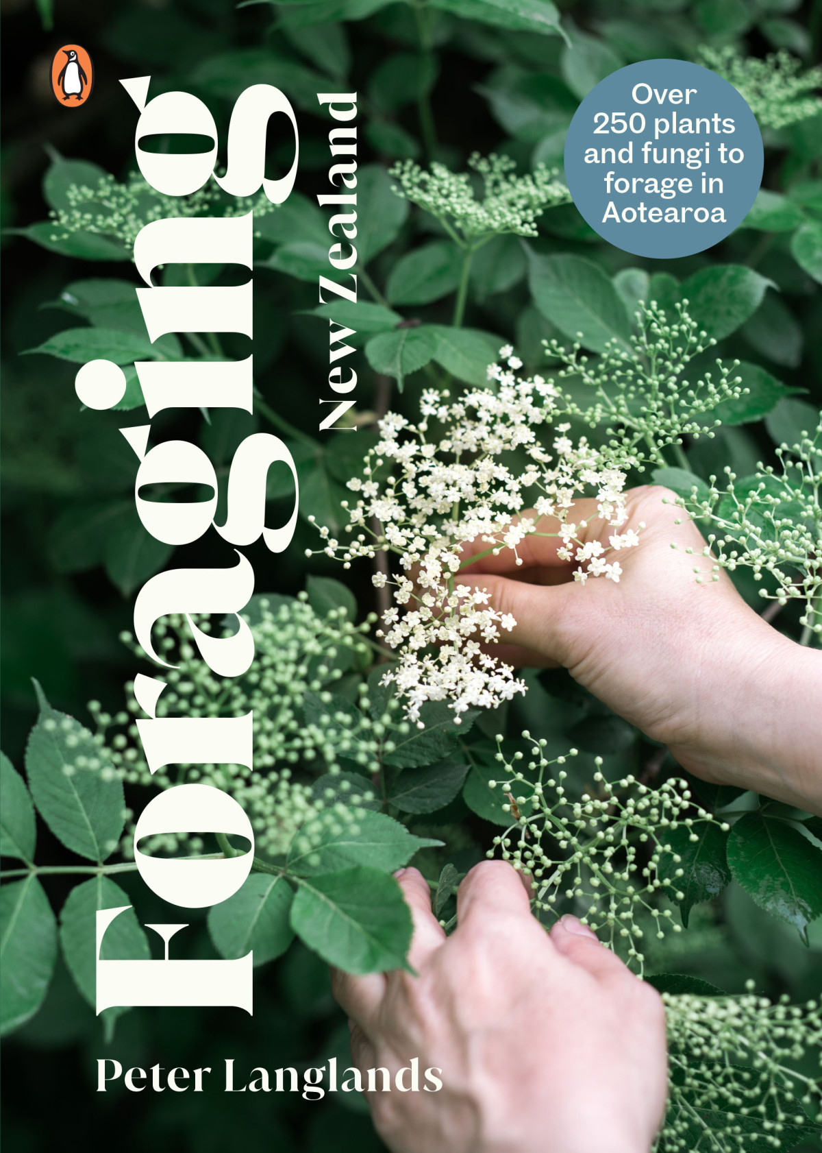 Foraging New Zealand Peter Langlands