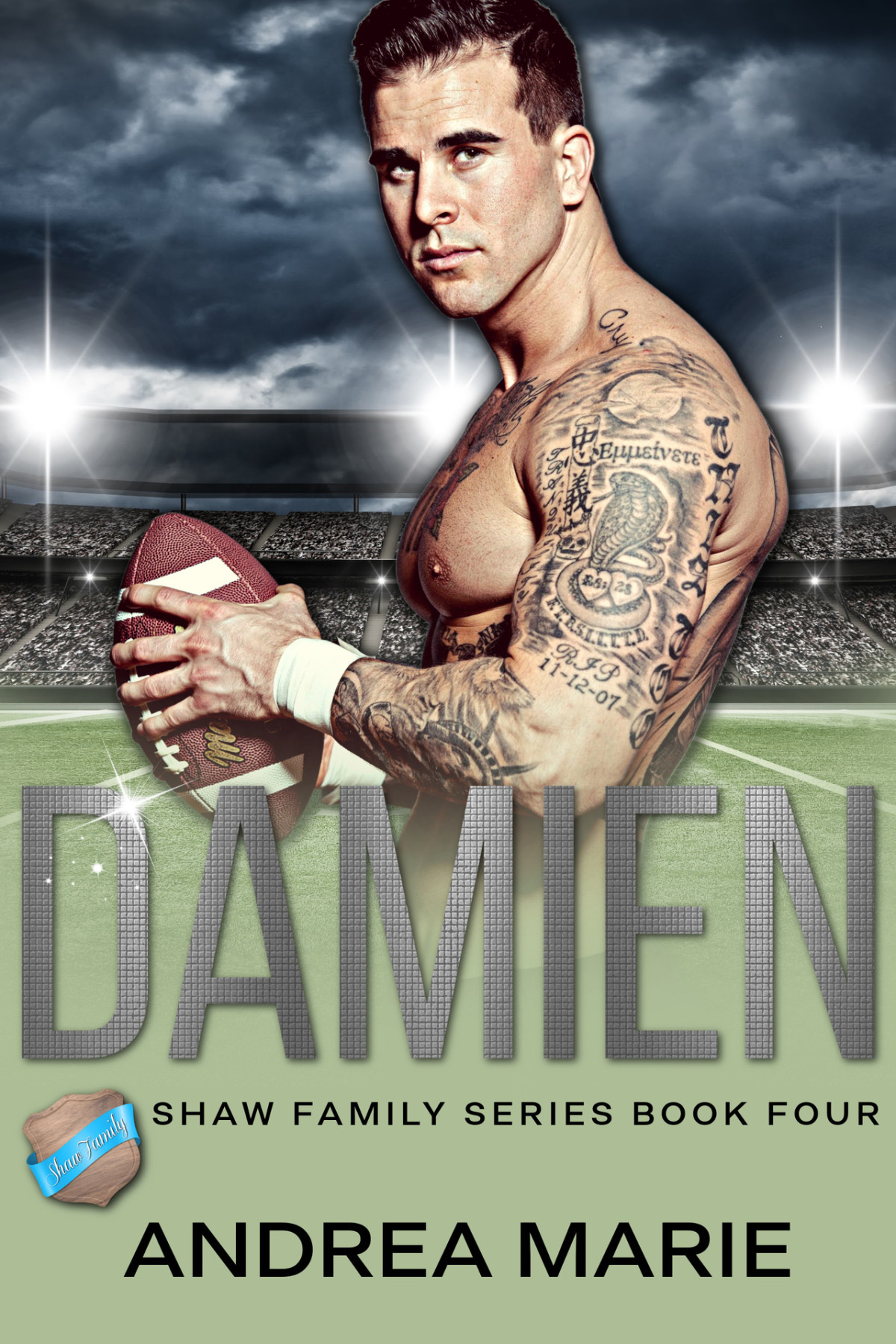 Damien Shaw Family Series Book Four Andrea Marie