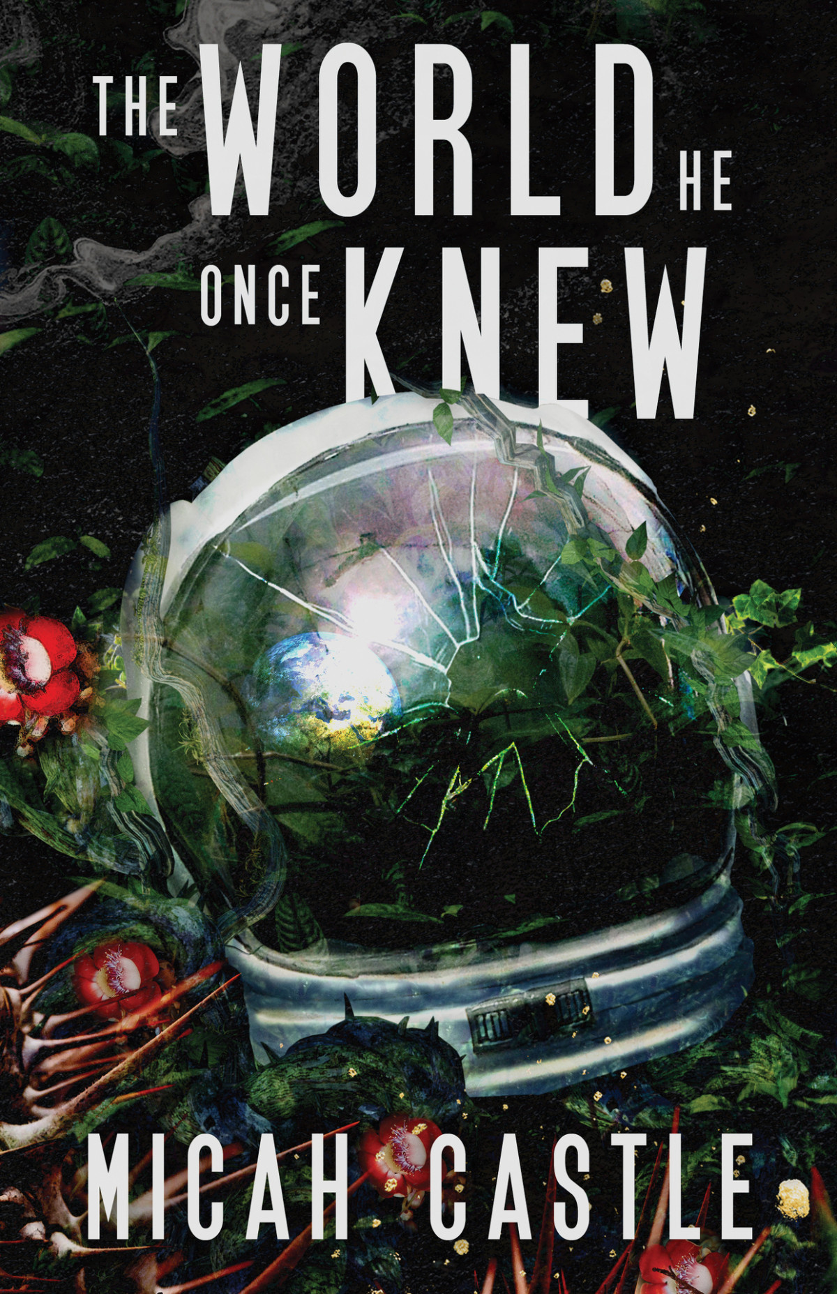 The World He Once Knew Micah Castle