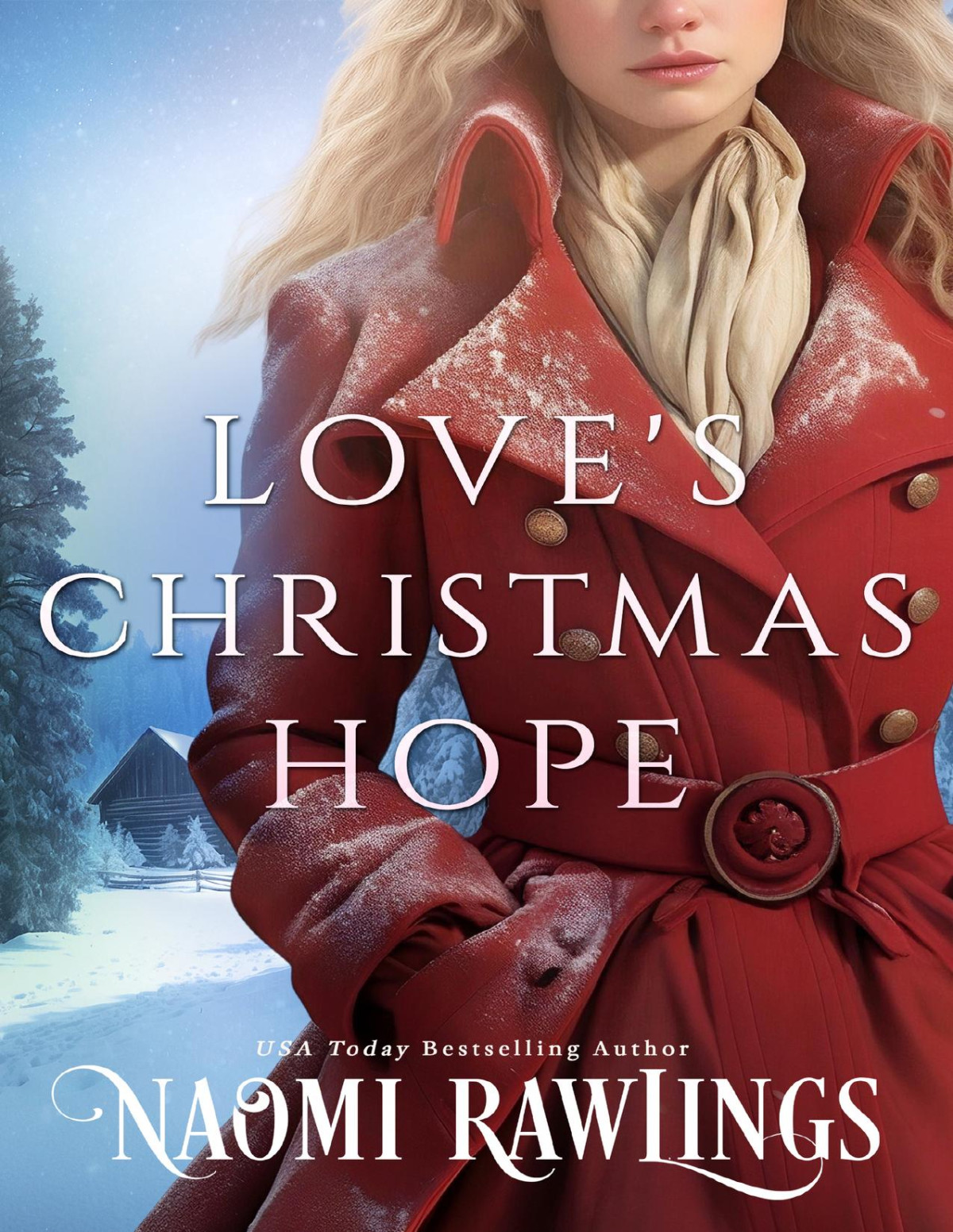Loves Christmas Hope The Eagle Harbor Series Book 5 Naomi Rawlings