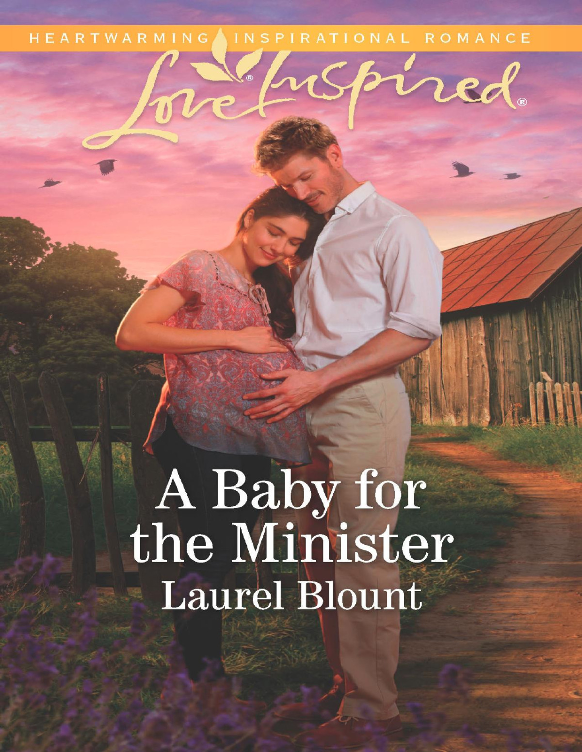 A Baby For The Minister Laurel Blount