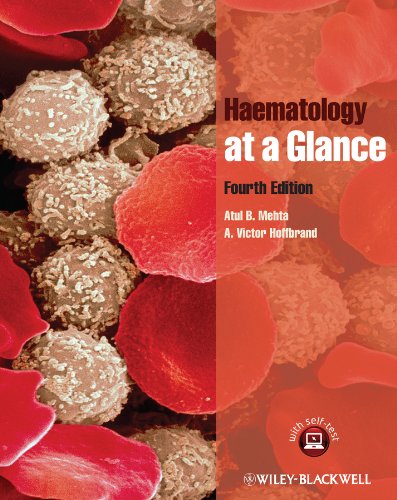 Haematology At A Glance Mehta Atul B Hoffbrand Victor