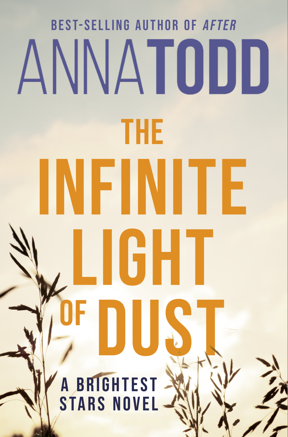 The Infinite Light Of Dust Anna Todd