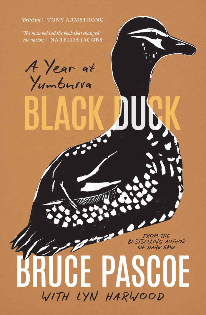 Black Duck A Year At Yumburra Bruce Pascoe