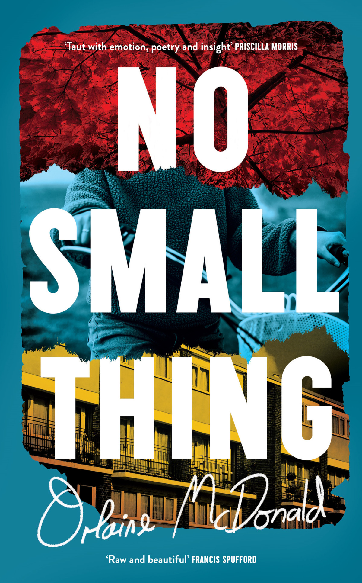 No Small Thing Orlaine Mcdonald