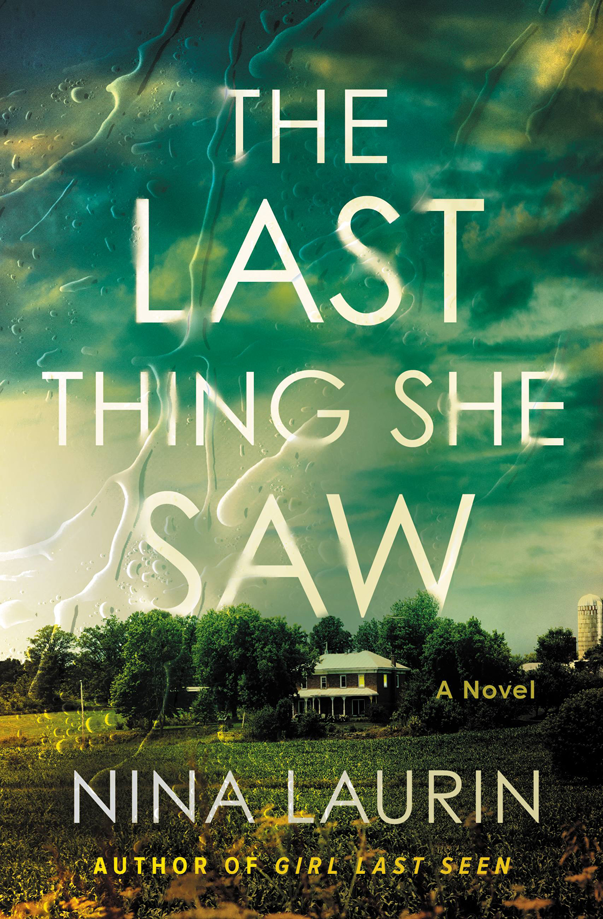 The Last Thing She Saw Nina Laurin