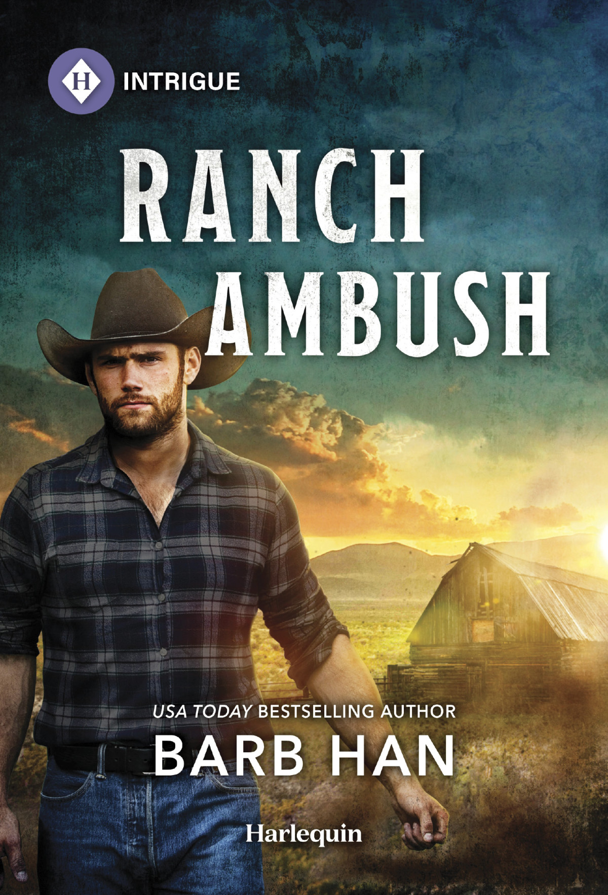 Ranch Ambush Barb Han