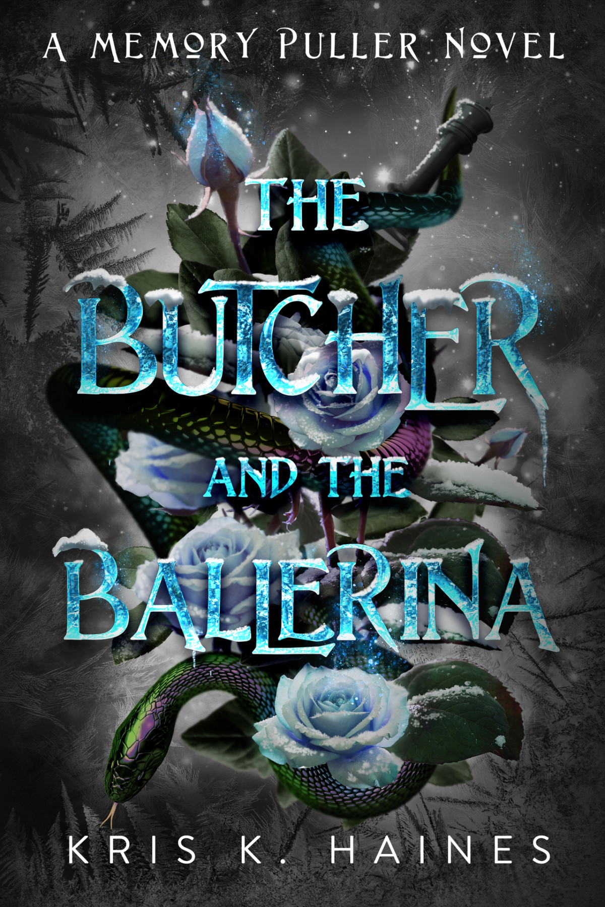 The Butcher And The Ballerina The Memory Puller Series Kris K Haines