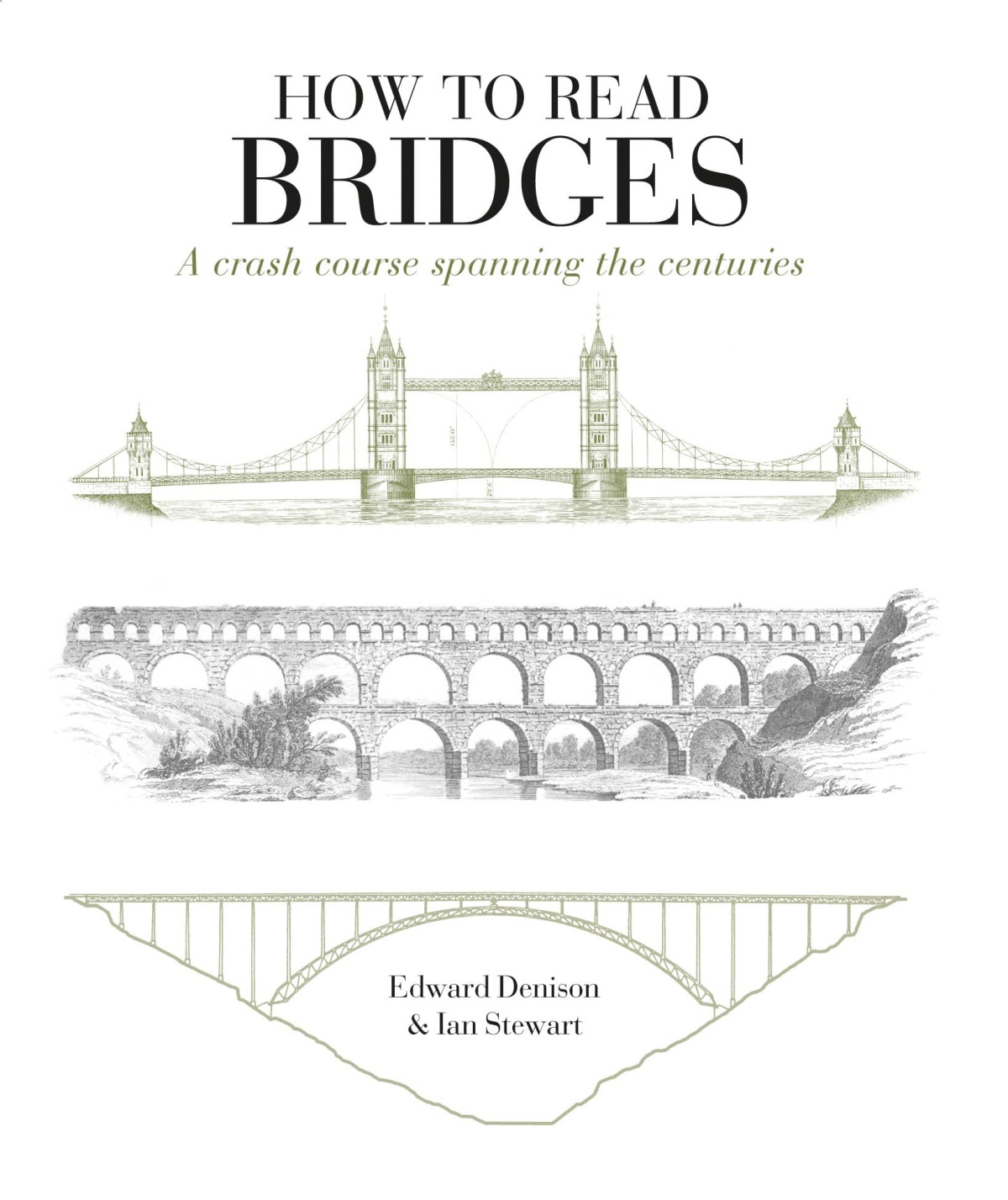How To Read Bridges Edward Denison Ian Stewart