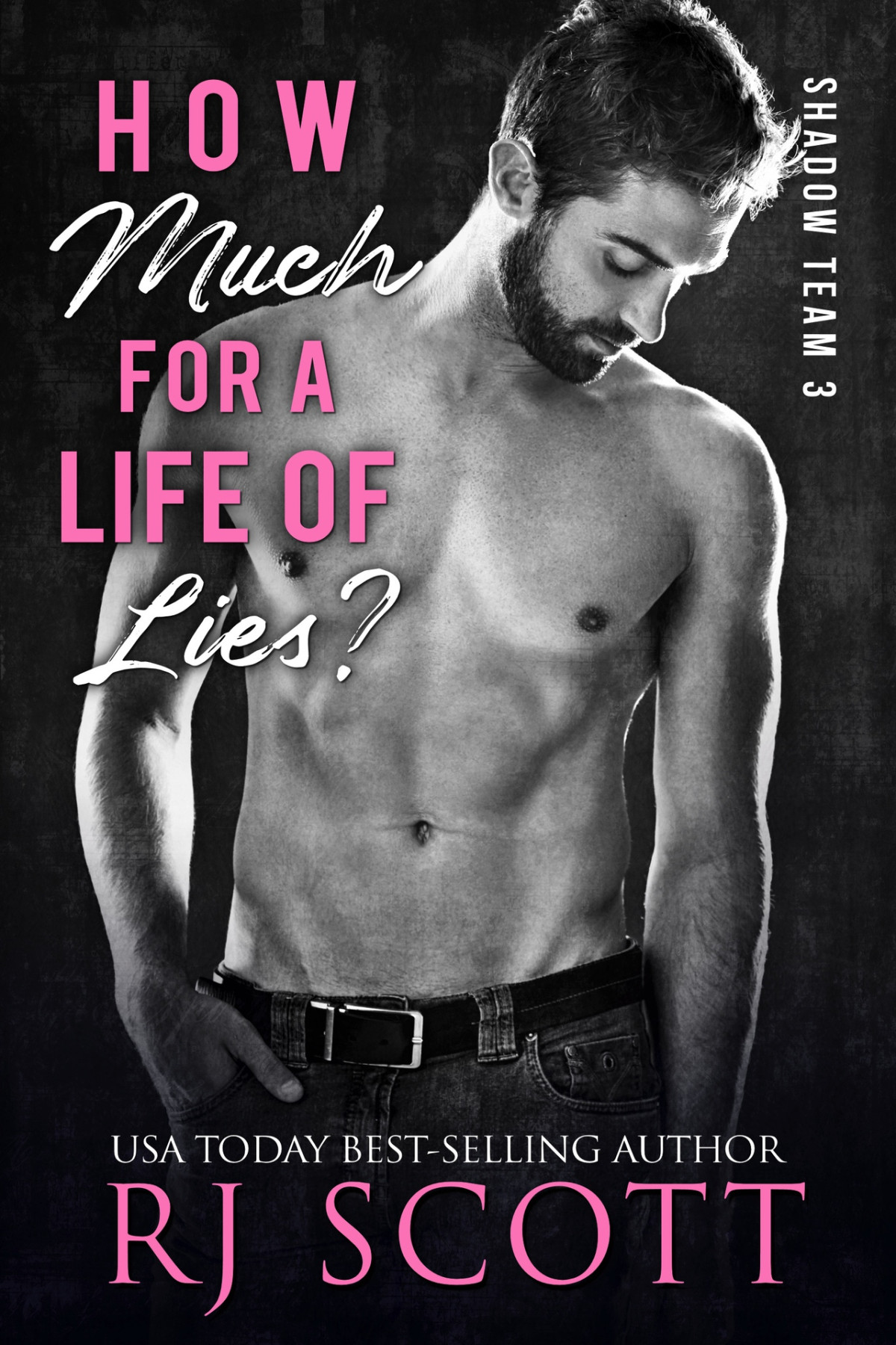 How Much For A Life Of Lies Shadow Team Book 3 Rj Scott