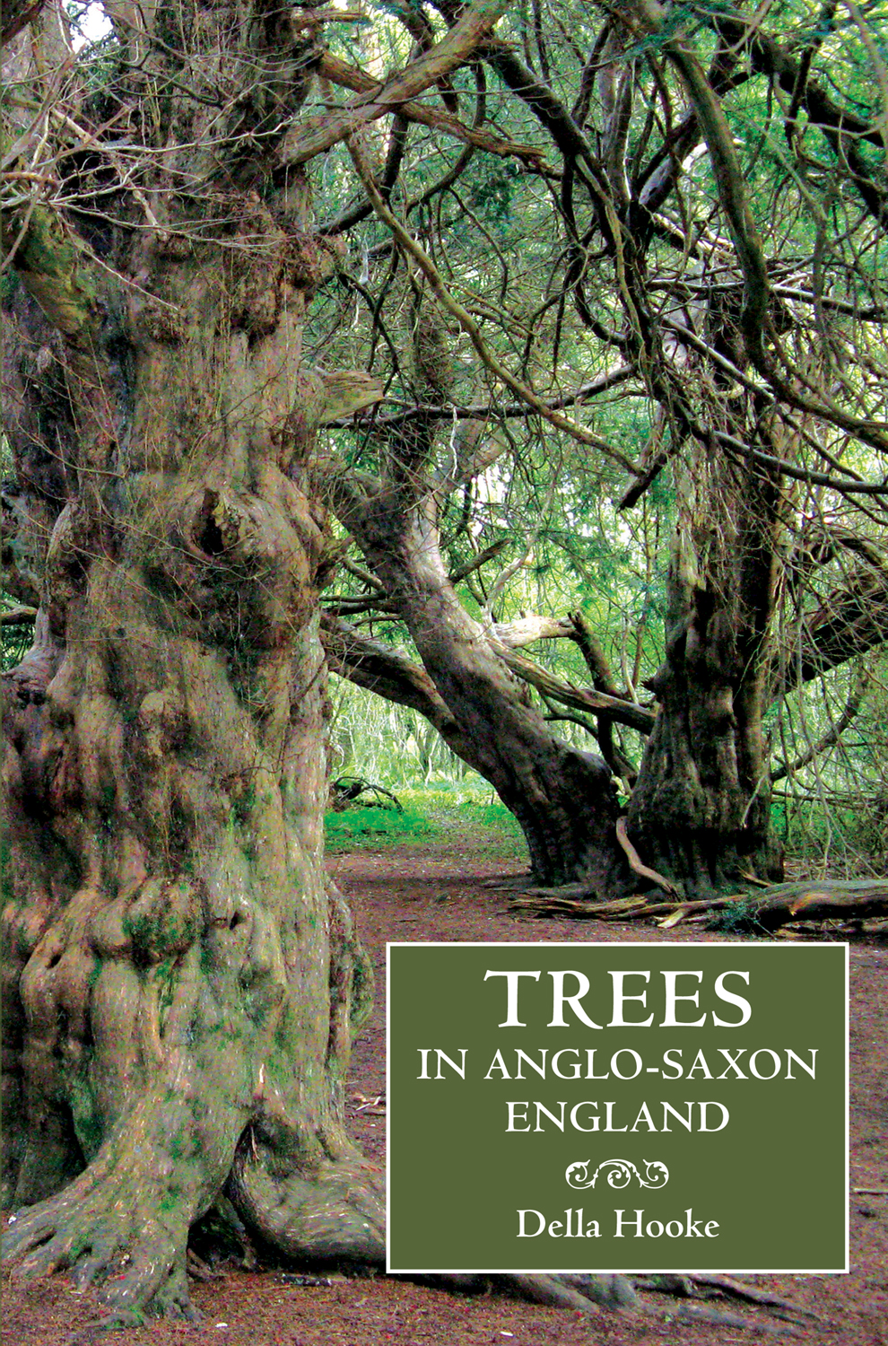 Trees In Anglosaxon England Hooke Della