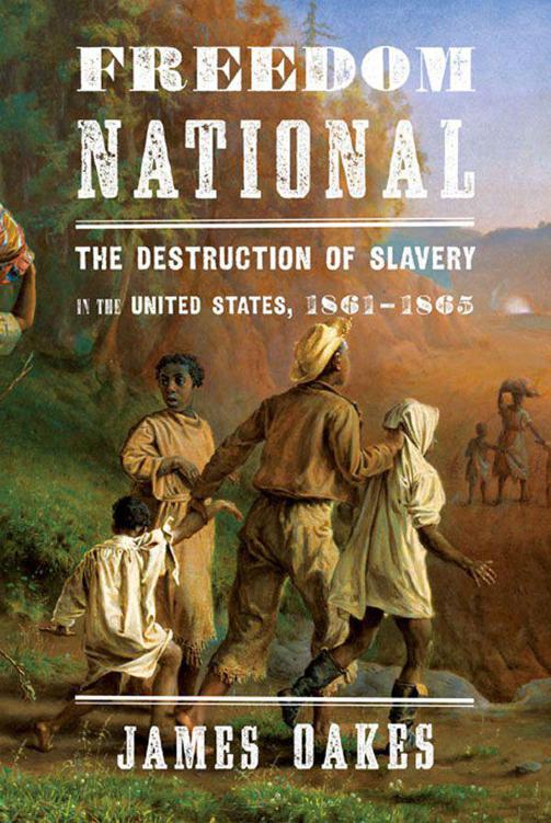 Freedom National The Destruction Of Slavery In The United States 18611865 James Oakes