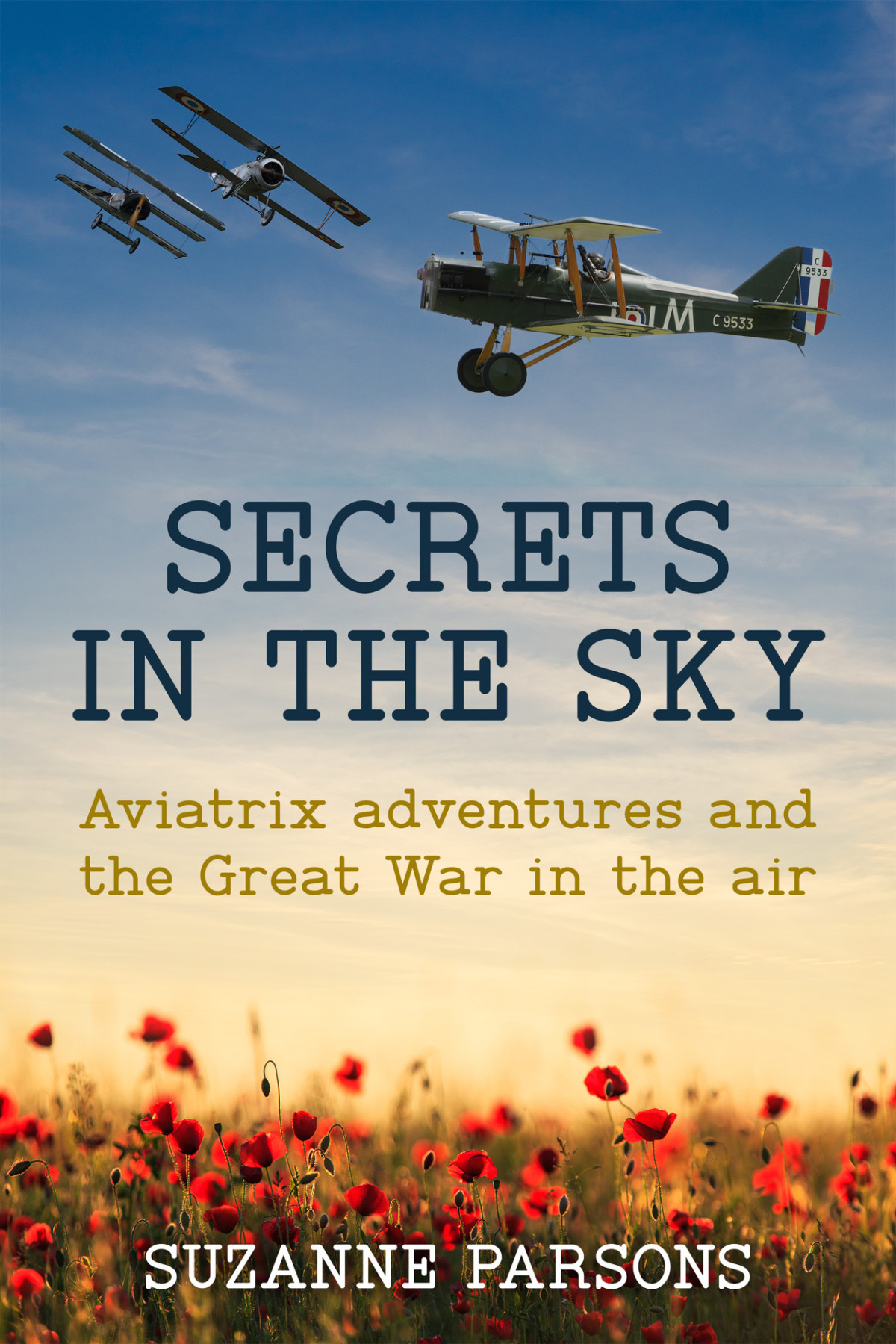 Secrets In The Sky Aviatrix Adventures And The Great War In The Air Parsons