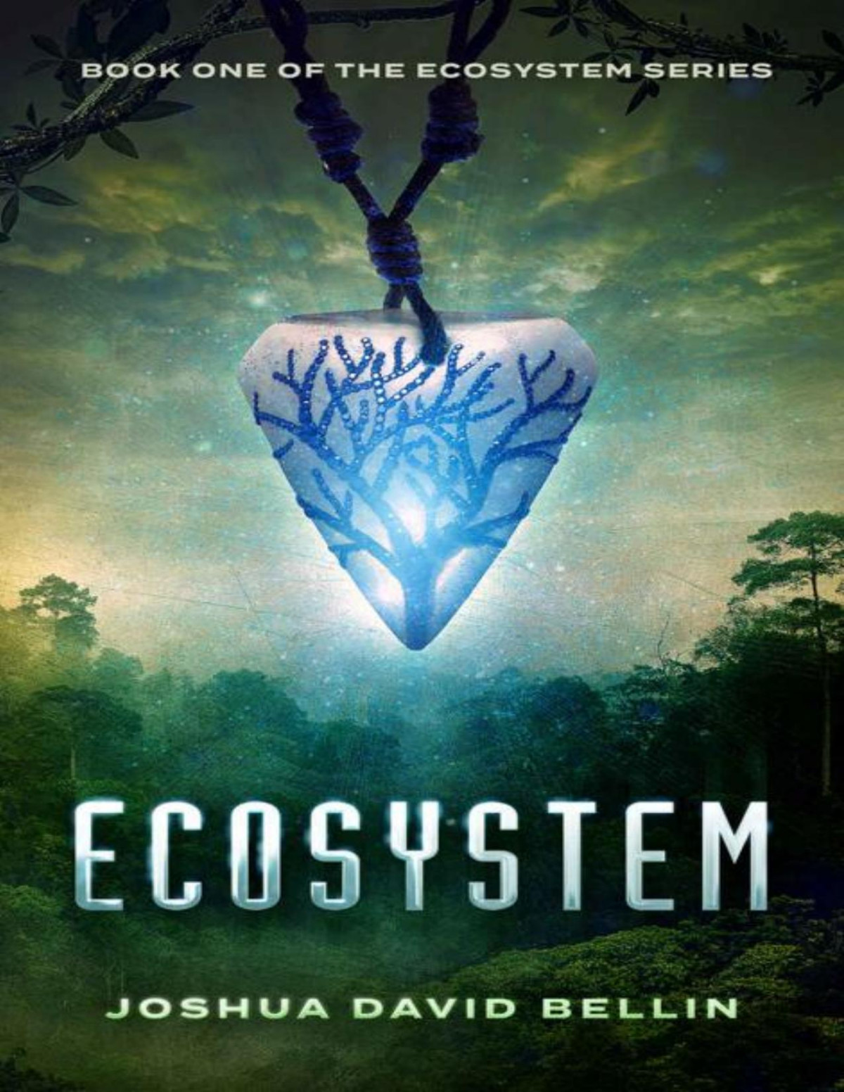 Ecosystem Ecosystem Cycle Book 1 Bellin Joshua David