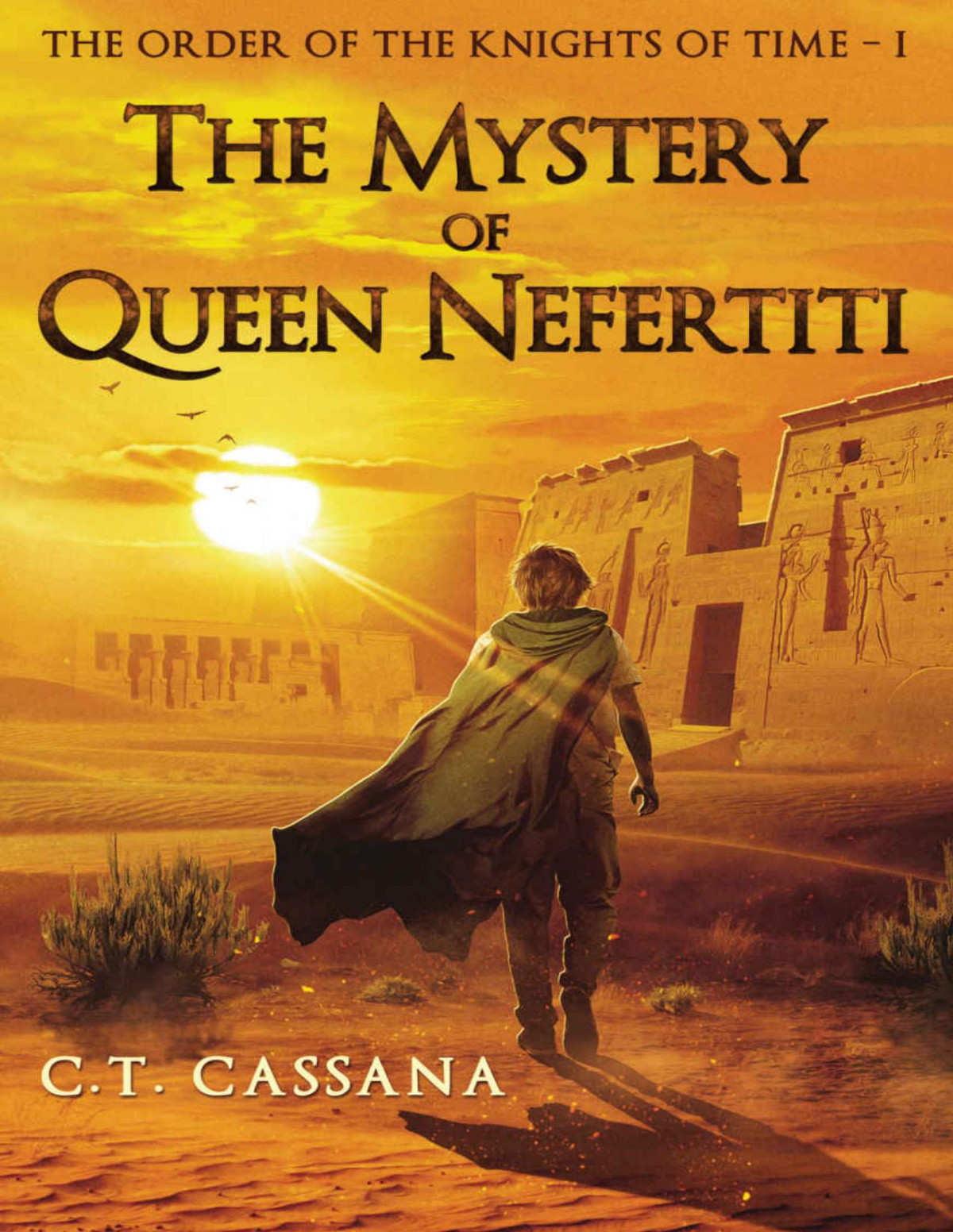 The Mystery Of Queen Nefertiti C T Cassana