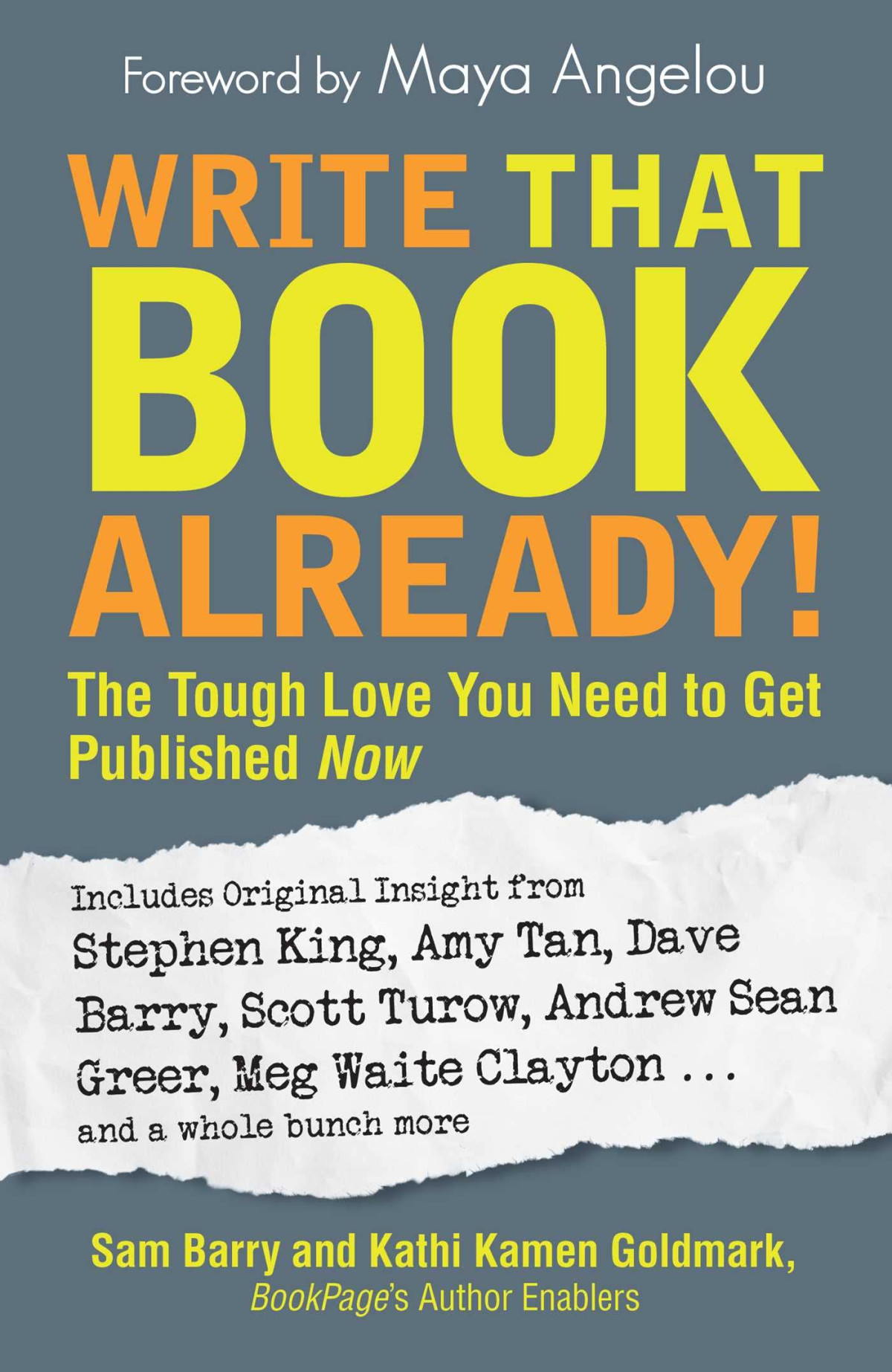 Write That Book Already Sam Barry Kathi Kamen Goldmark