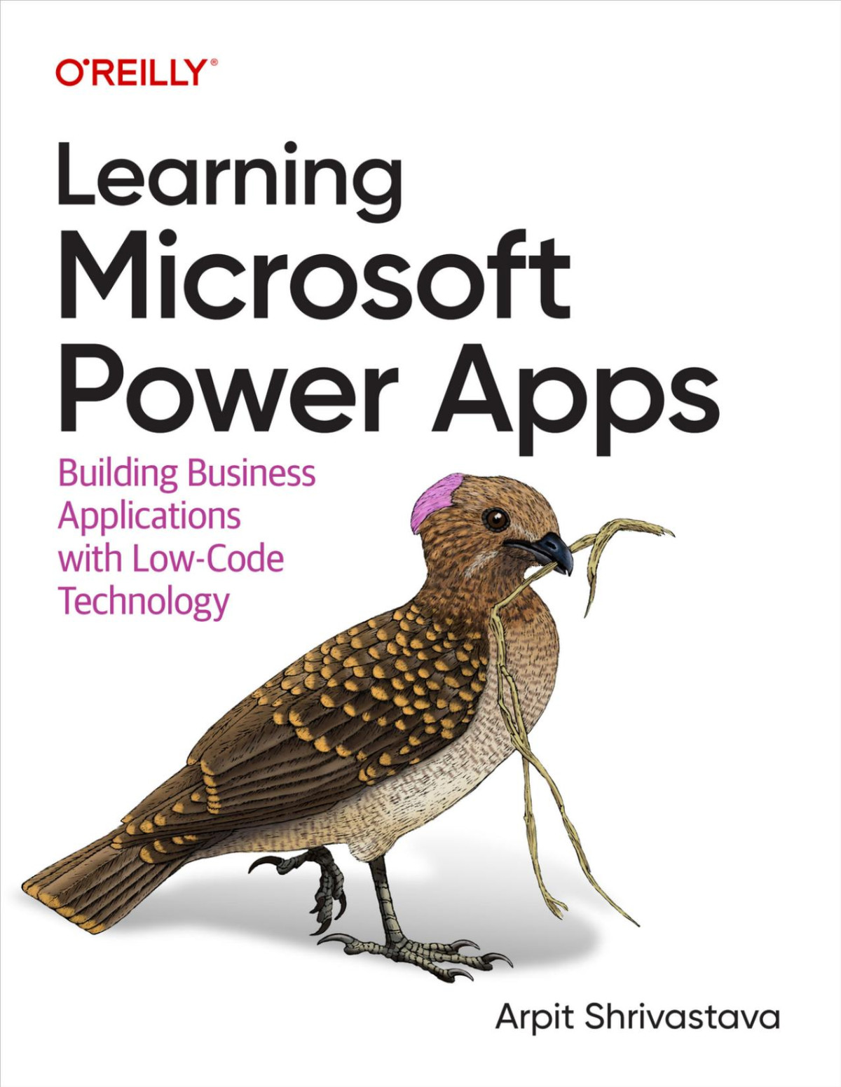Learning Microsoft Power Apps 1 Converted Arpit Shrivastava