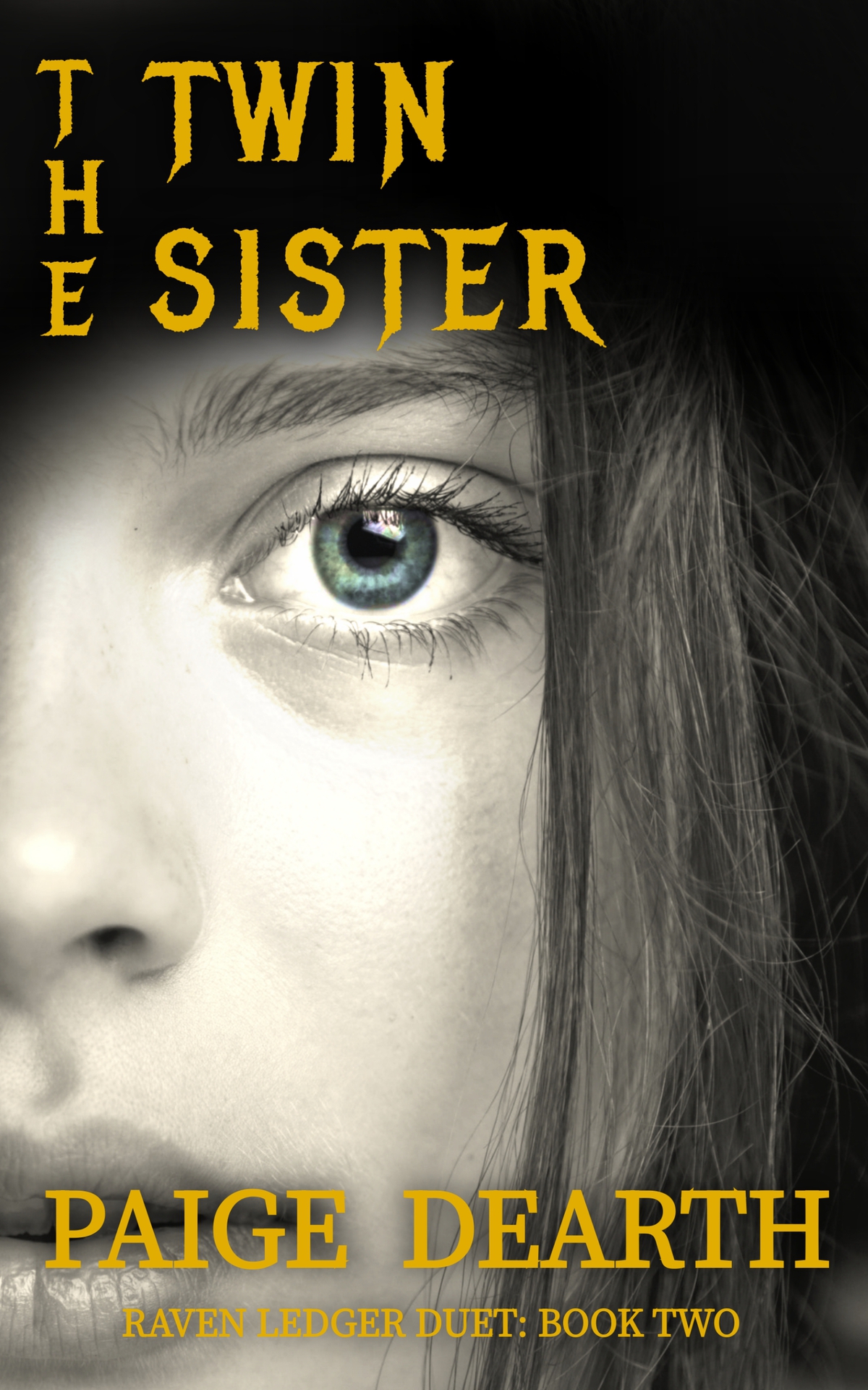 The Twin Sister Raven Ledger Duet Book 2 Paige Dearth
