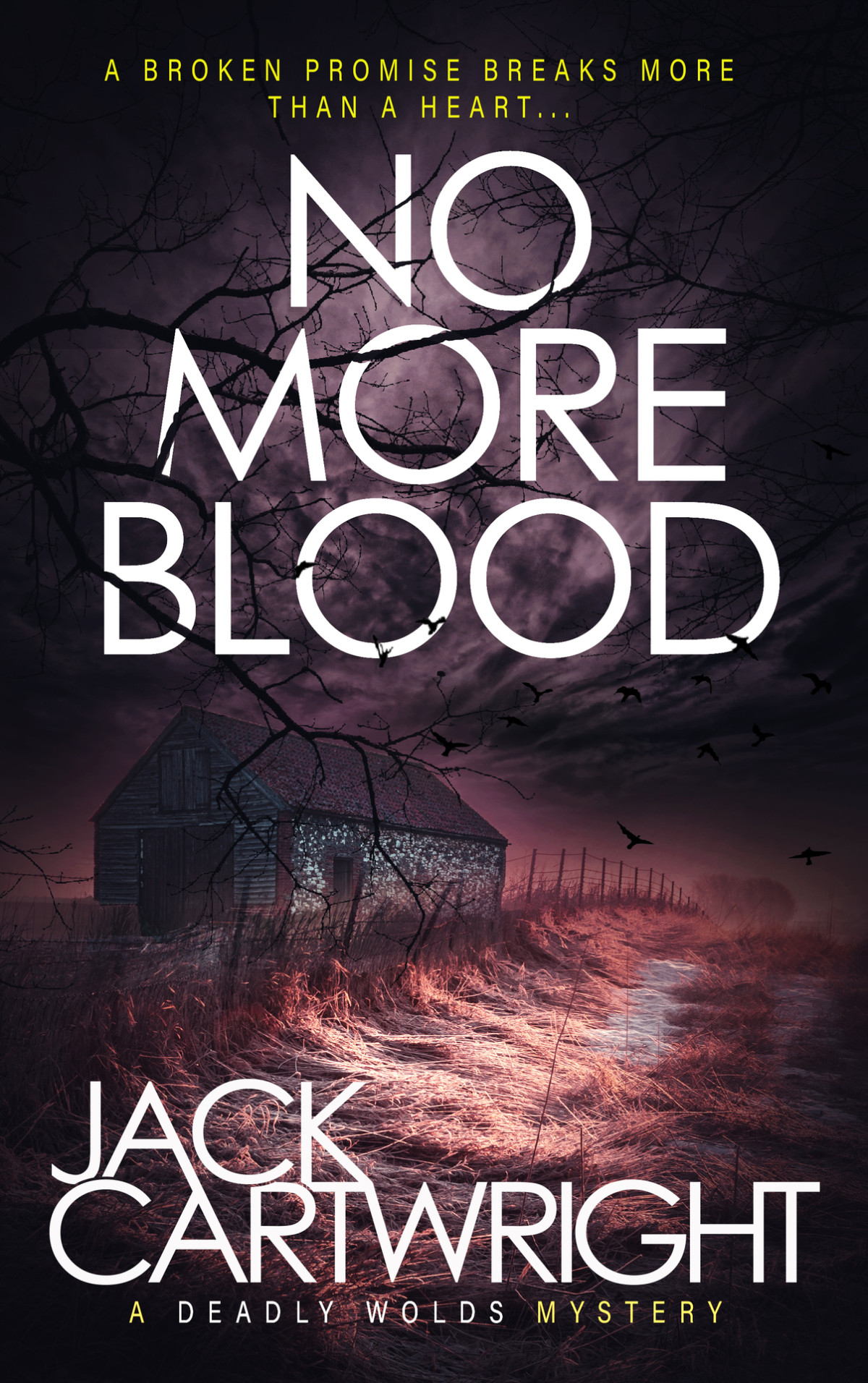 No More Blood The Wild Fens Murder Mystery Series Book 13 Jack Cartwright