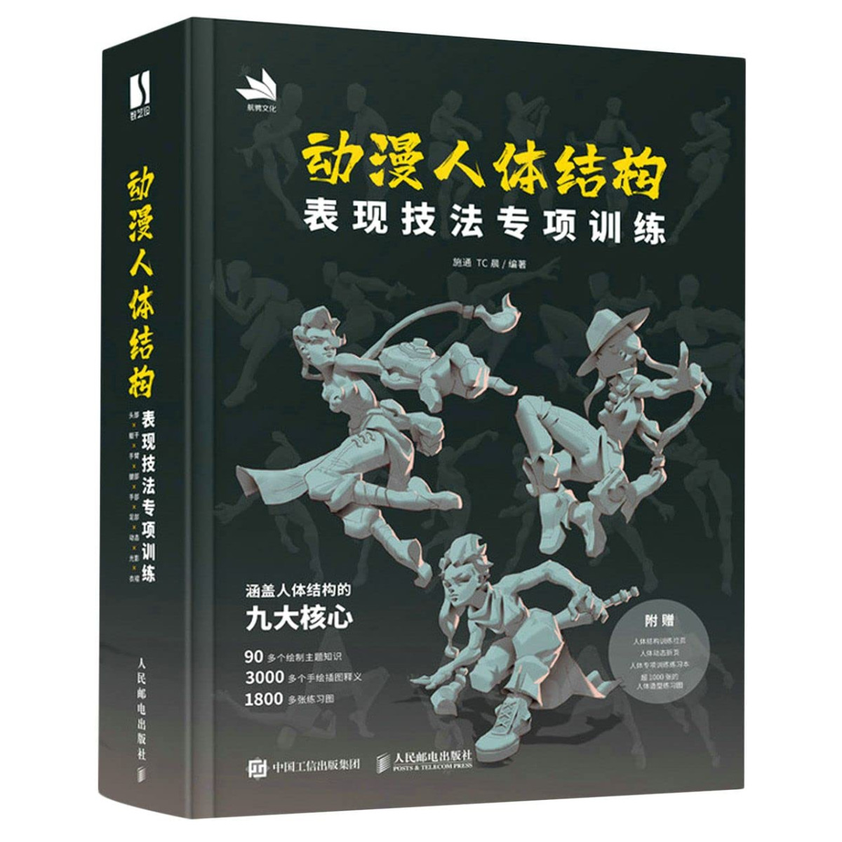 Animation Human Body Structure Special Training In Performance Techniques Shi Tong