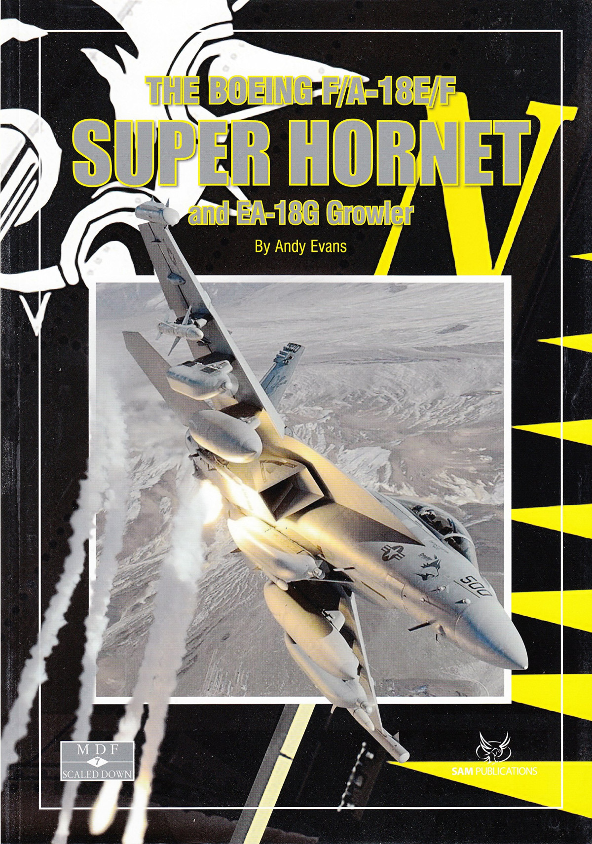 The Boeing Fa18ef Super Hornet And Ea18g Growler Andy Evans