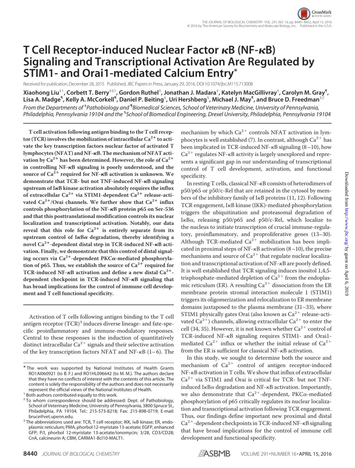T Cell Receptorinduced Nuclear Factor B Nfb Signaling And Transcriptional Activation Are Regulated By Stim1 And Orai1mediated Calcium Entry Xiaohong Liu