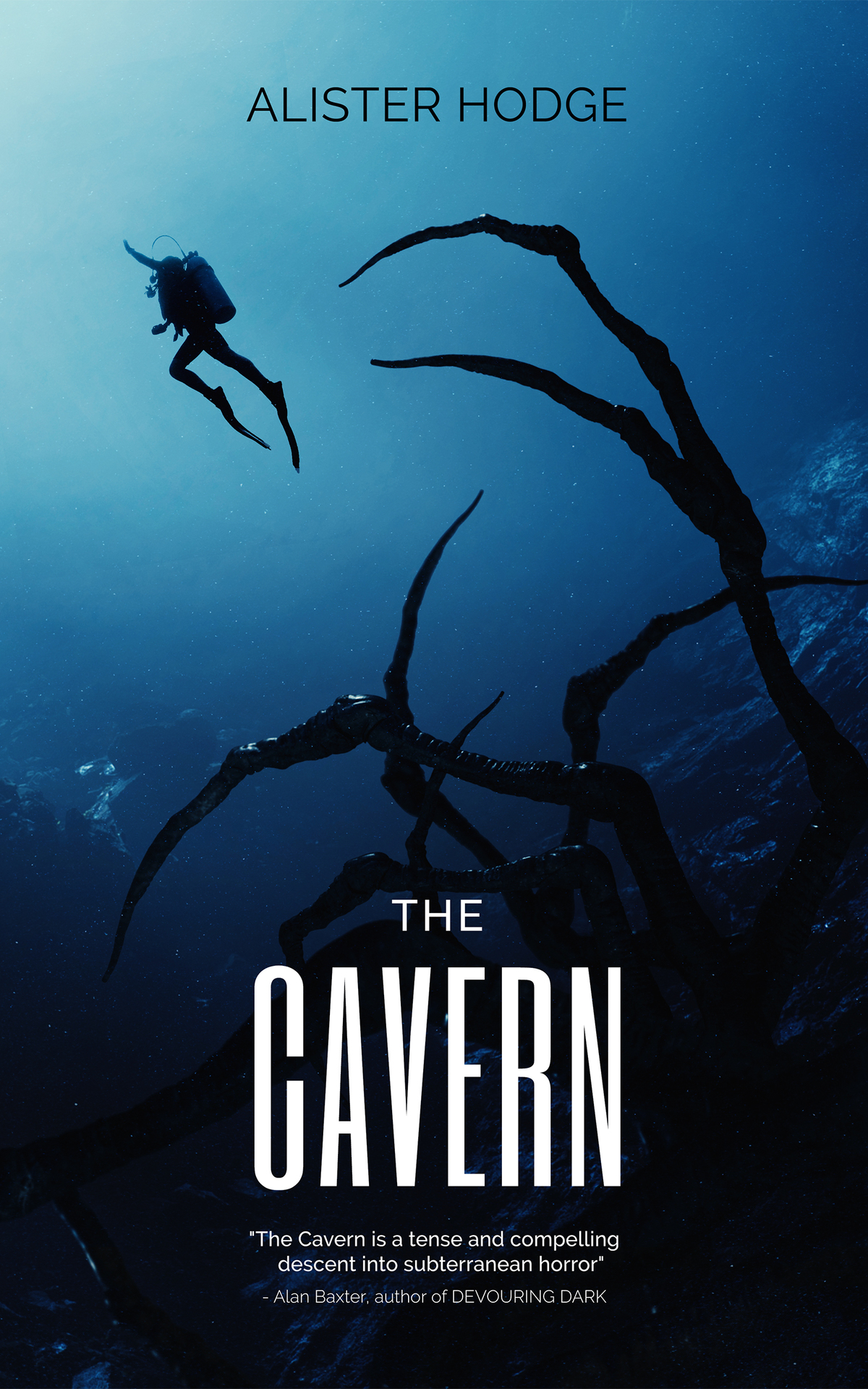 The Cavern Hodge Alister