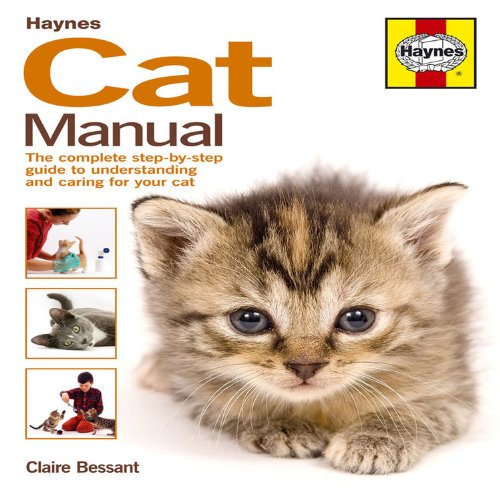 Haynes Cat Manual 1st Edition Claire Bessant