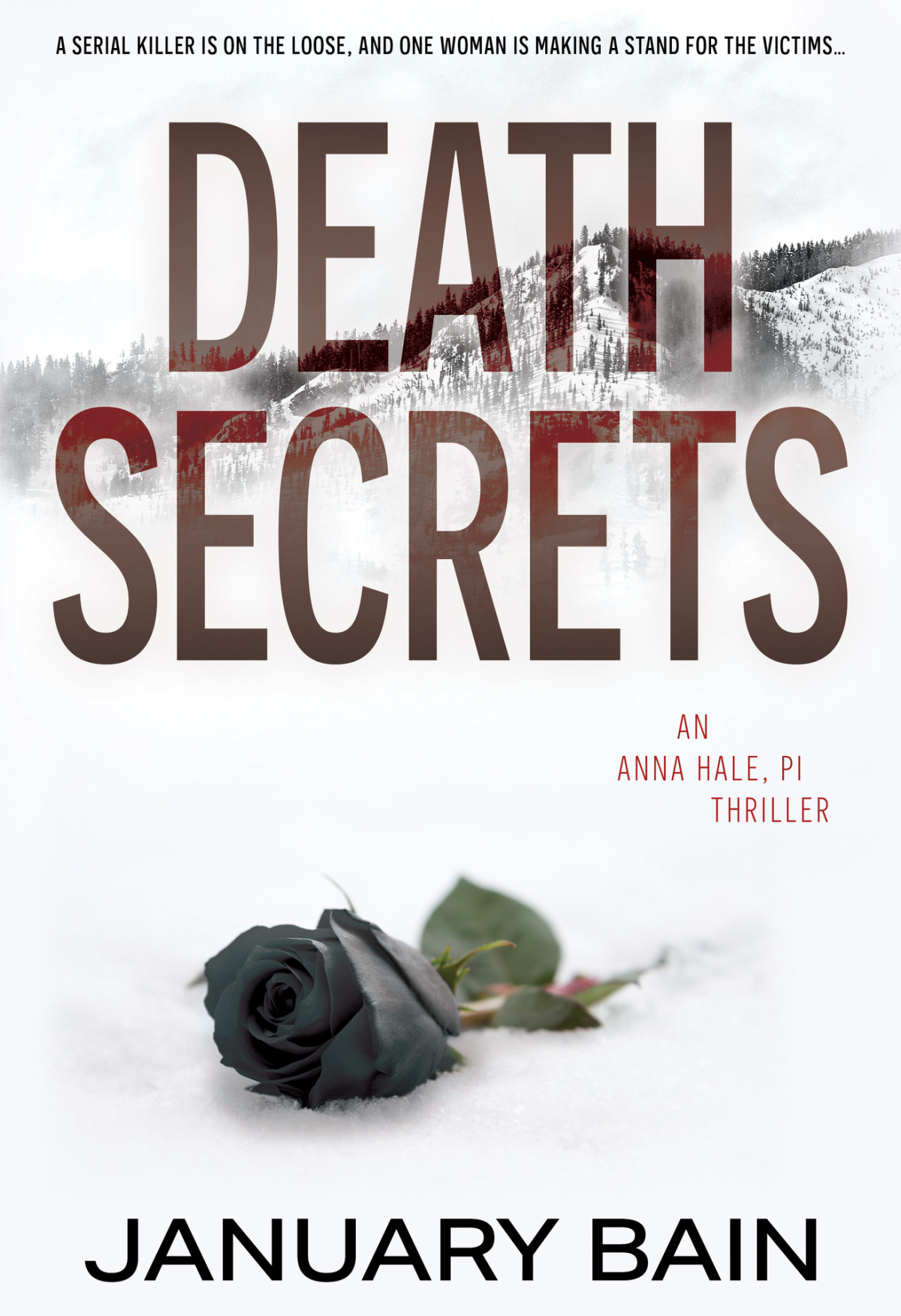 Death Secrets An Anna Hale Pi Thriller January Bain
