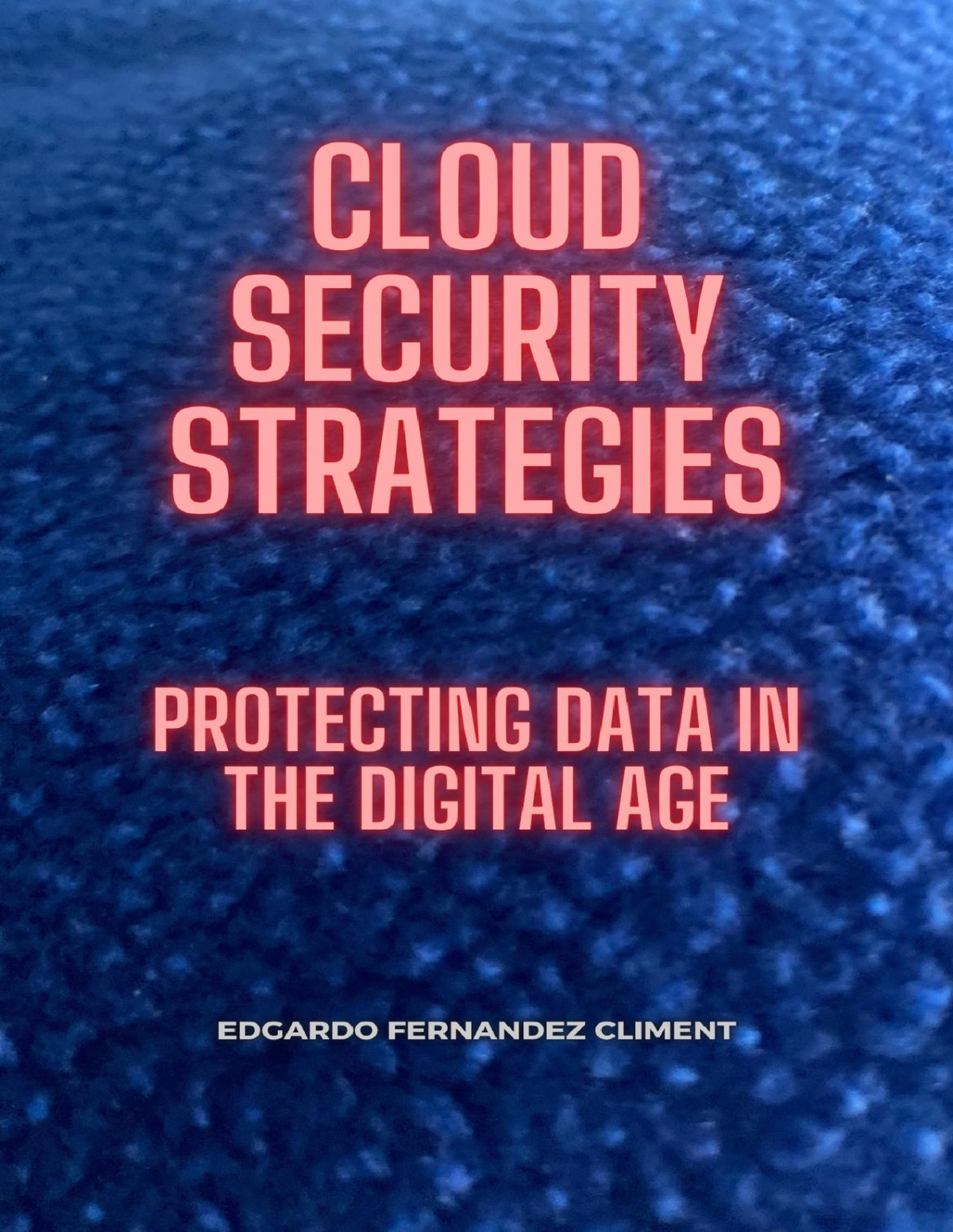 Cloud Security Strategies Protecting Data In The Digital Age Fernandez Climent