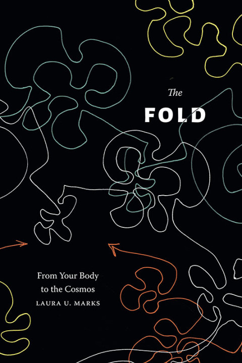 The Fold 10th Edition Laura U Marks