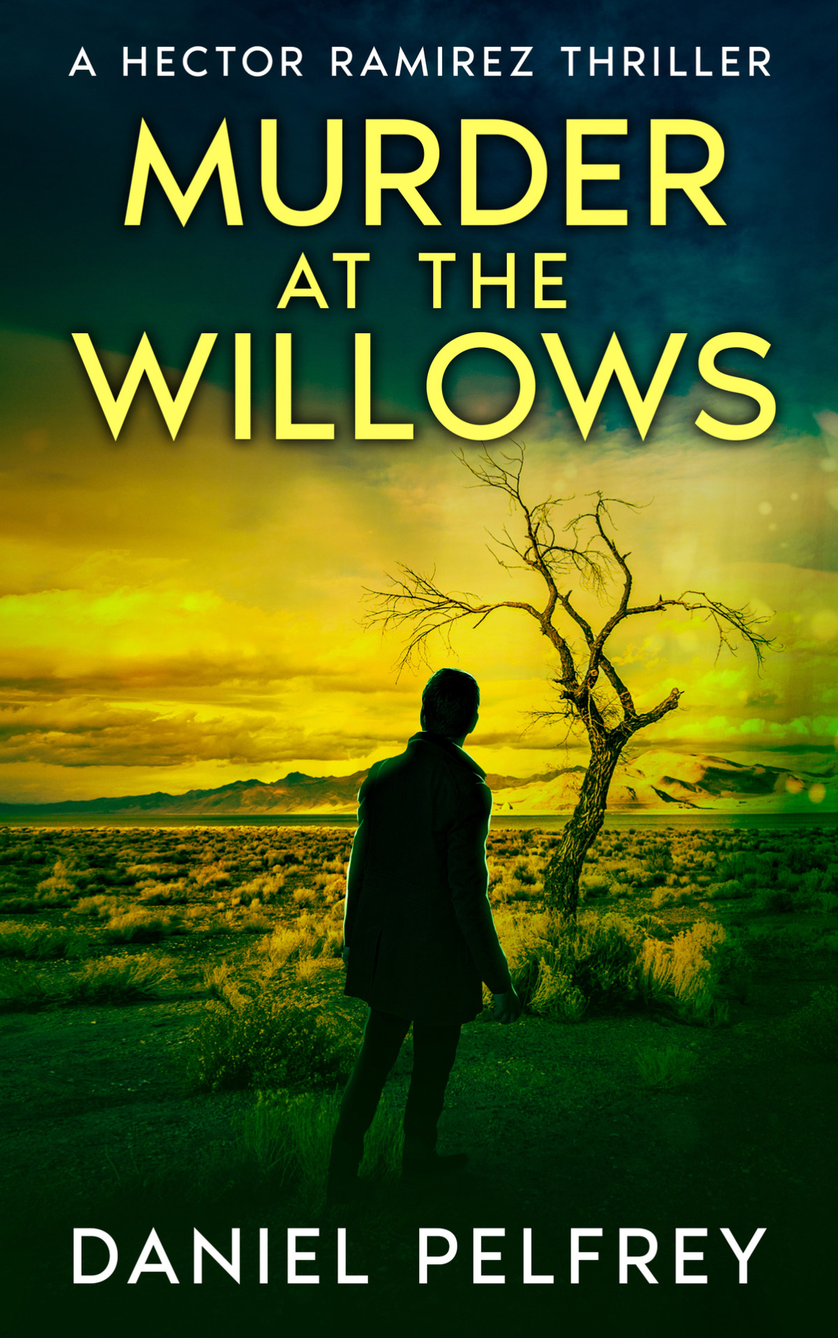 Murder At The Willows Daniel Pelfrey