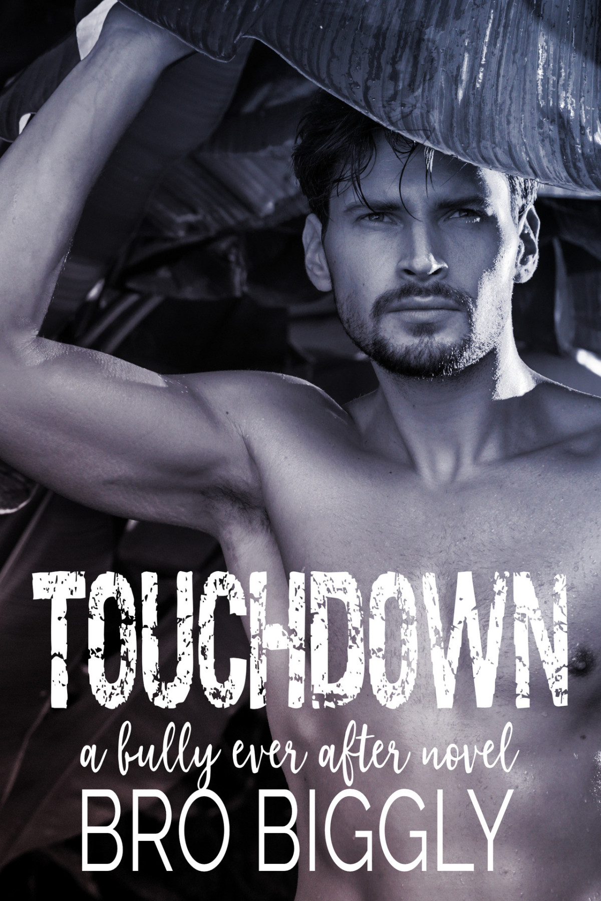 Touchdown A Bully Ever After Novel Bro Biggly