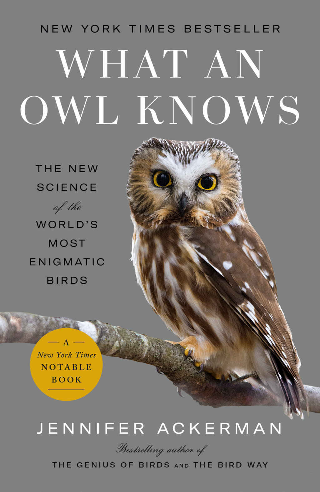 What An Owl Knows Ackerman Jennifer