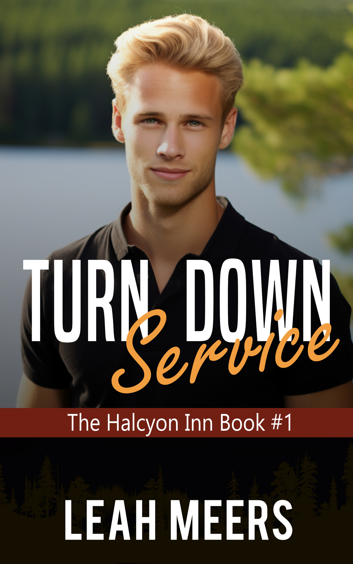 Turn Down Service An Mm Gay Romance Leah Meers