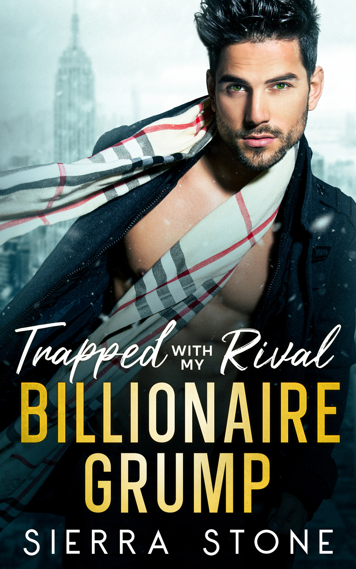 Trapped With My Rival Billionaire Grump Brothers Best Friend Age Gap Romance Sierra Stone