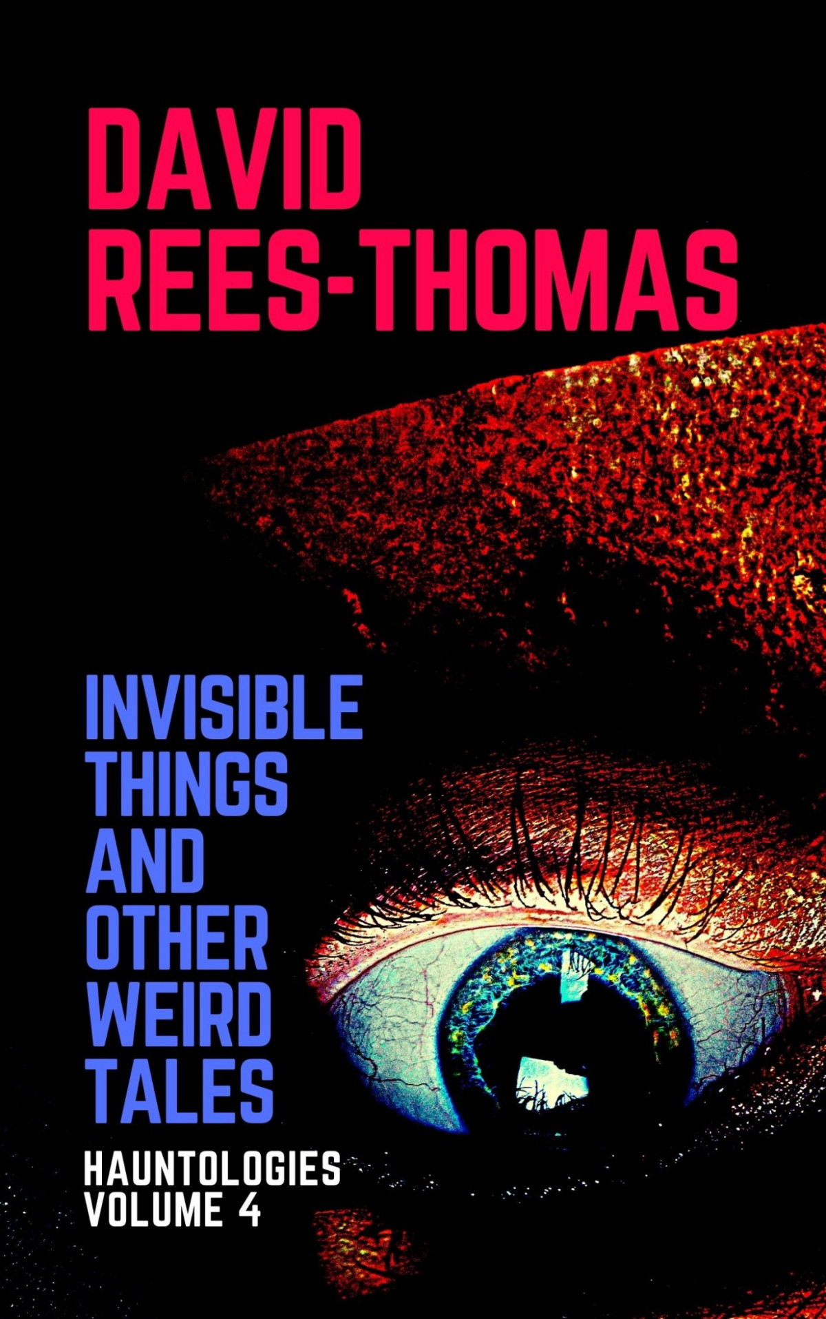Invisible Things And Other Weird Stories David Reesthomas