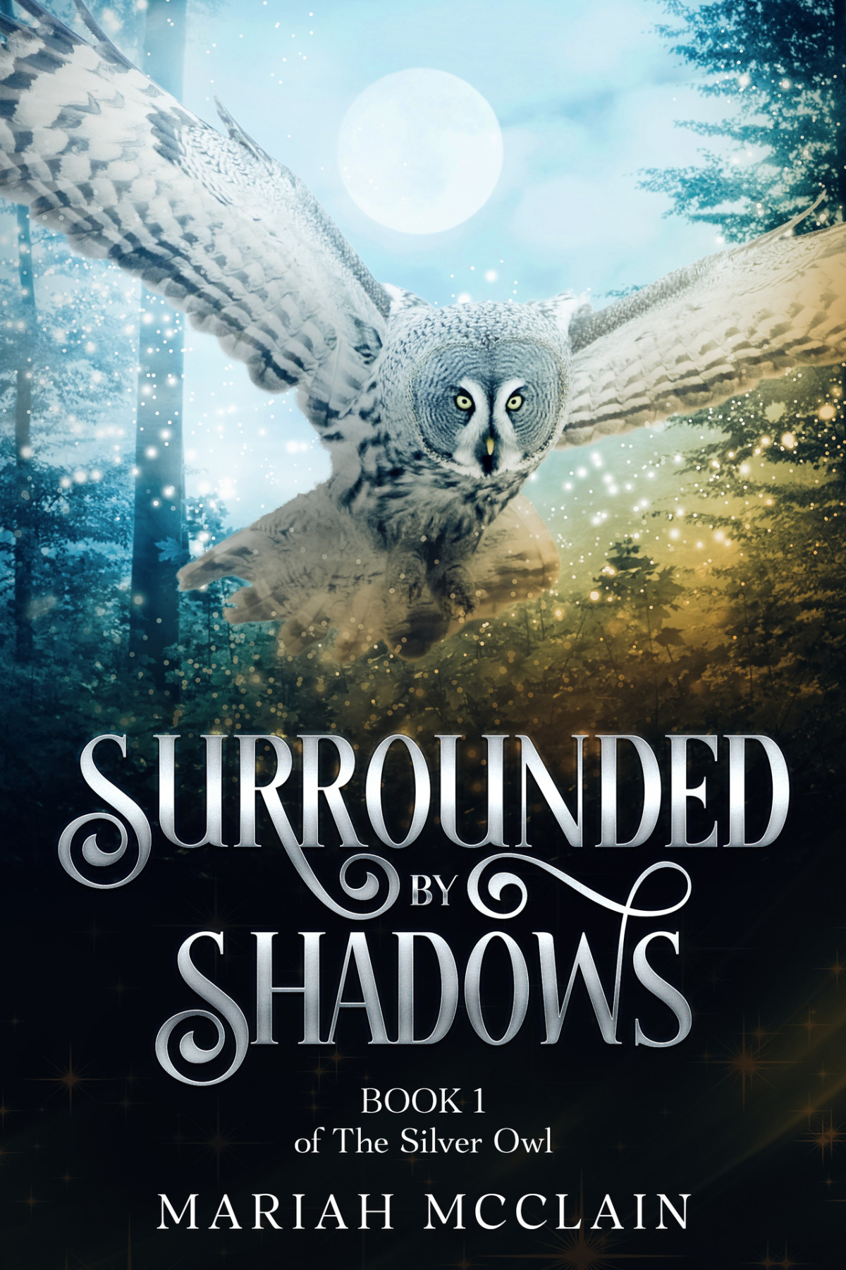 Surrounded By Shadows Mariah Mcclain